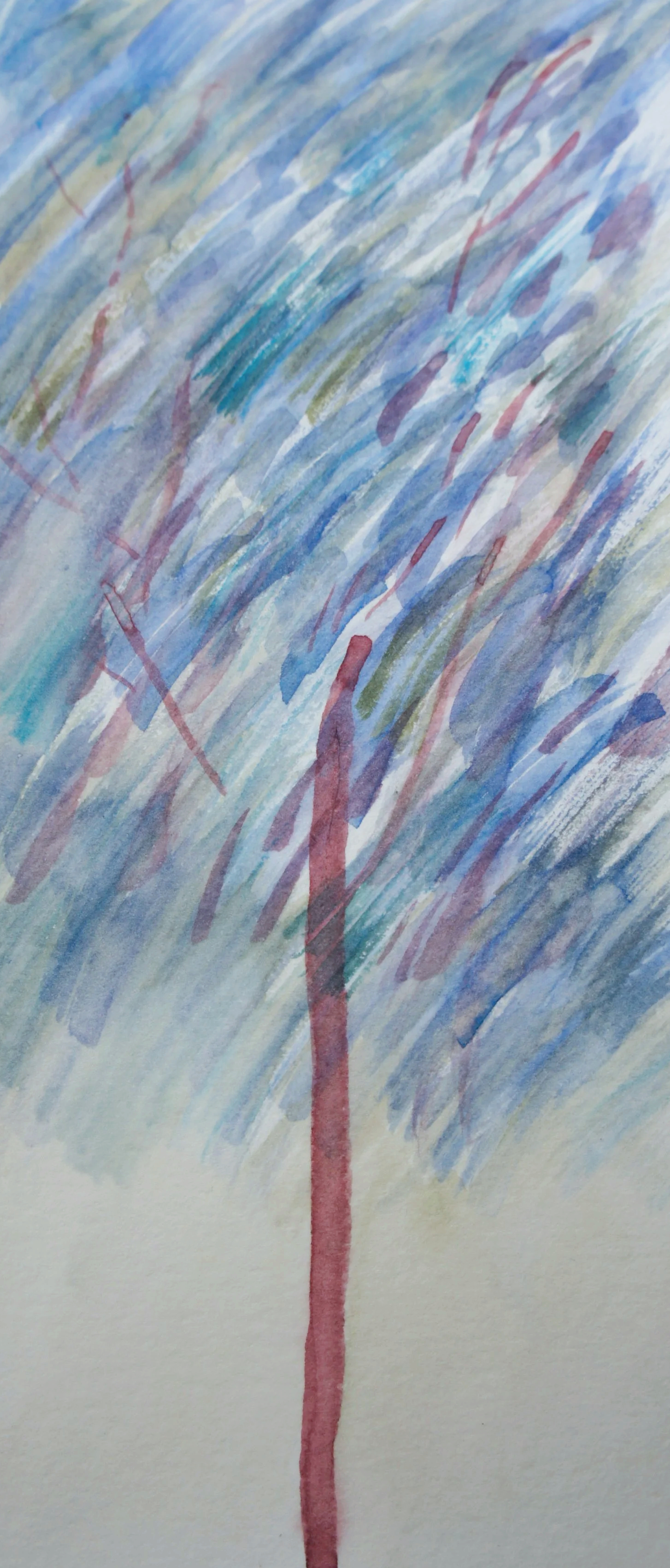 DSC07344.png