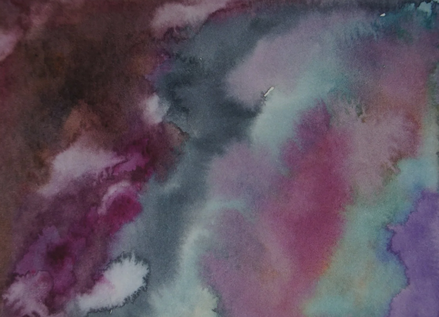 DSC07412.png