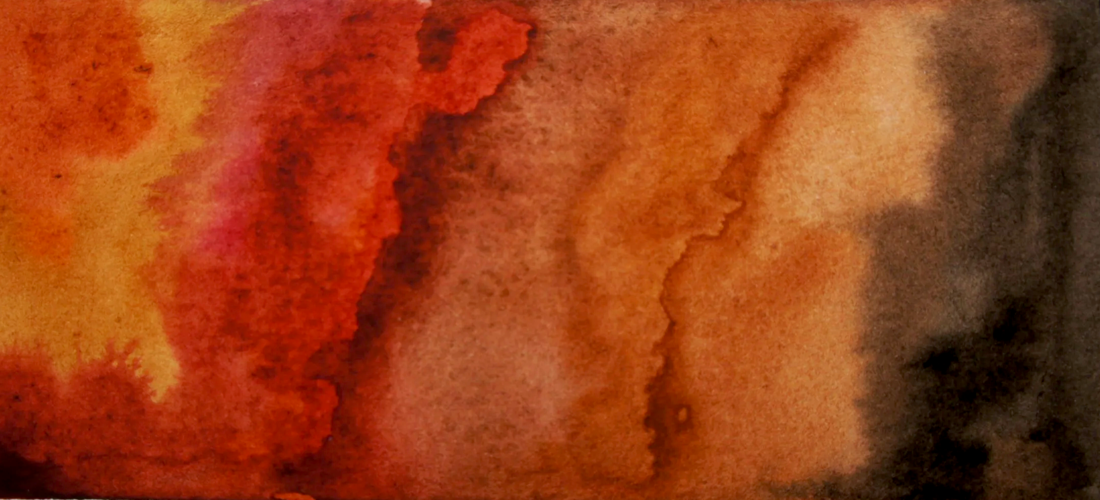 DSC07374.png