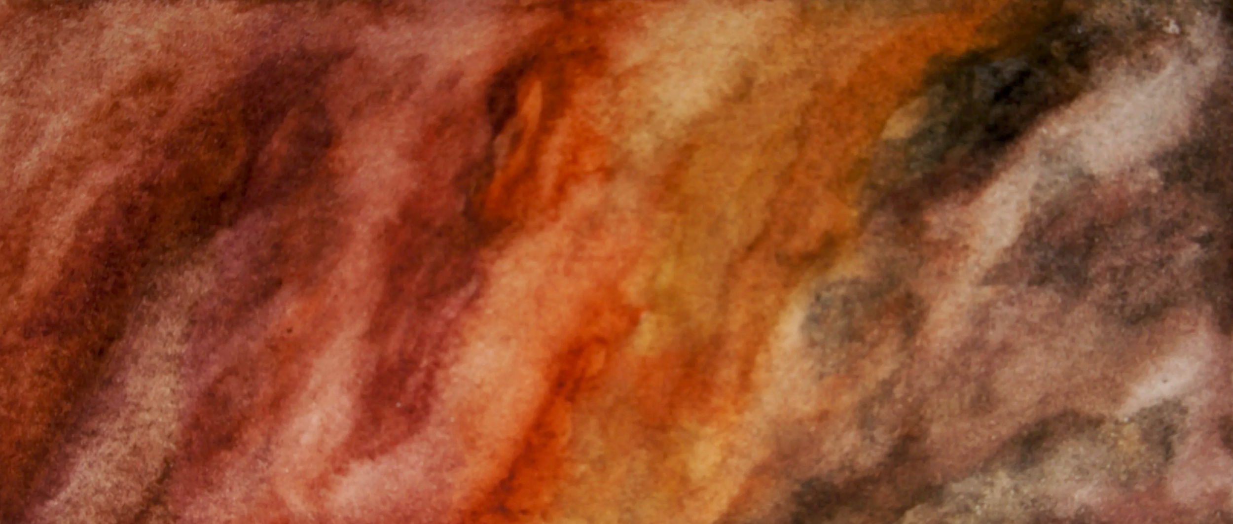 DSC07375.png