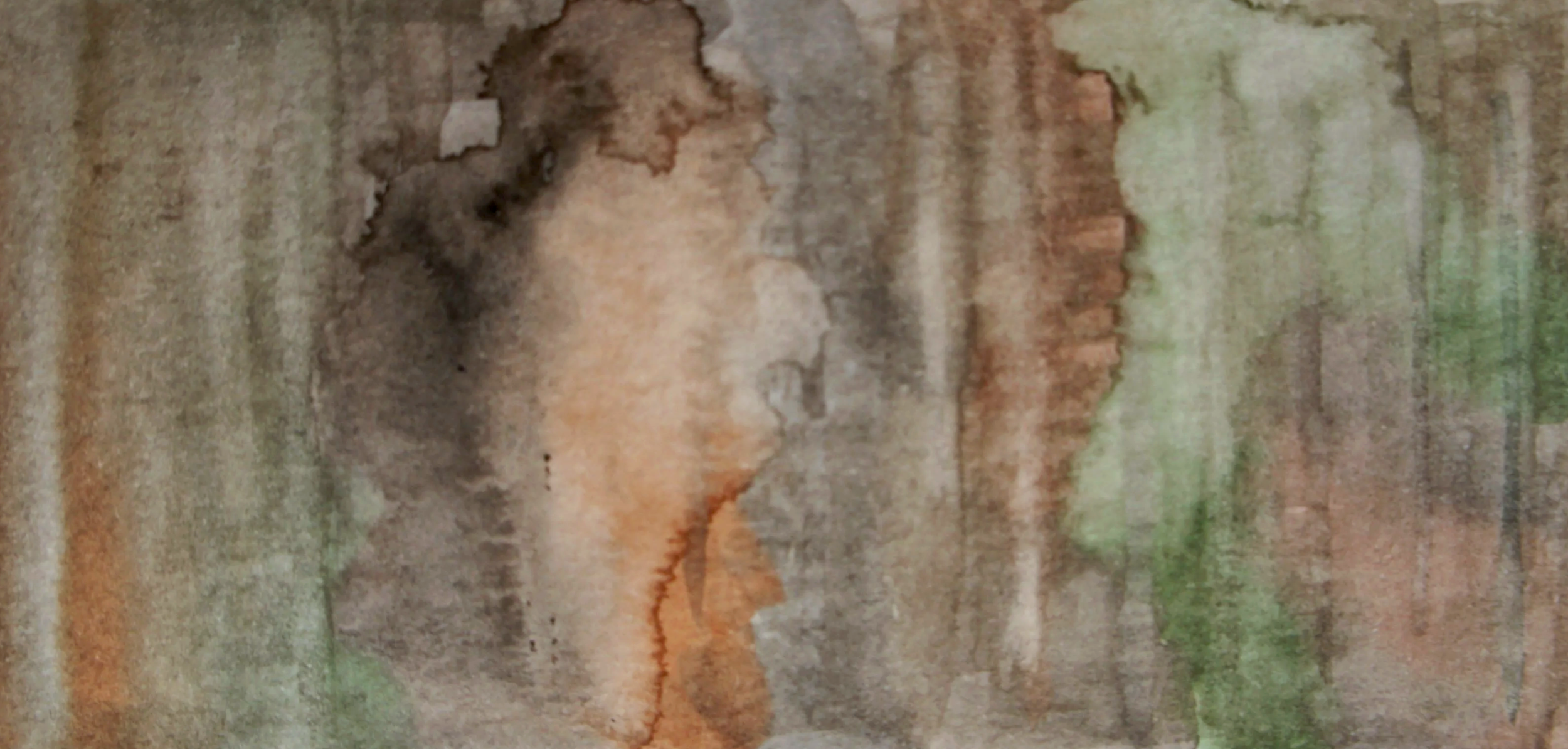 DSC07376.png