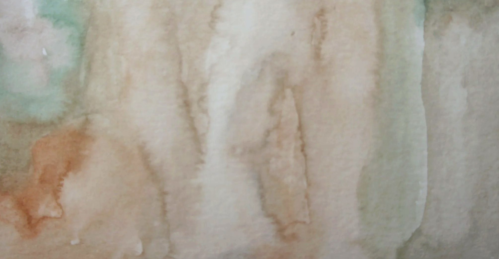 DSC07377.png