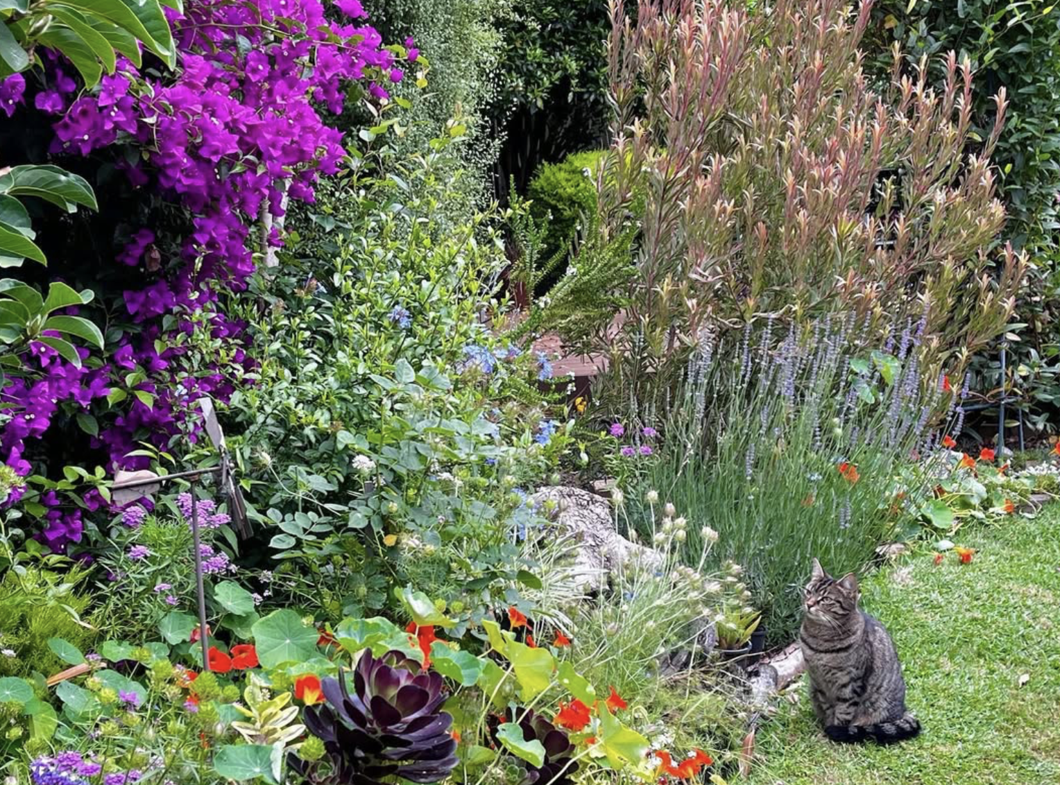 Screenshot 2025-12-13 at 11.23.45 am.png