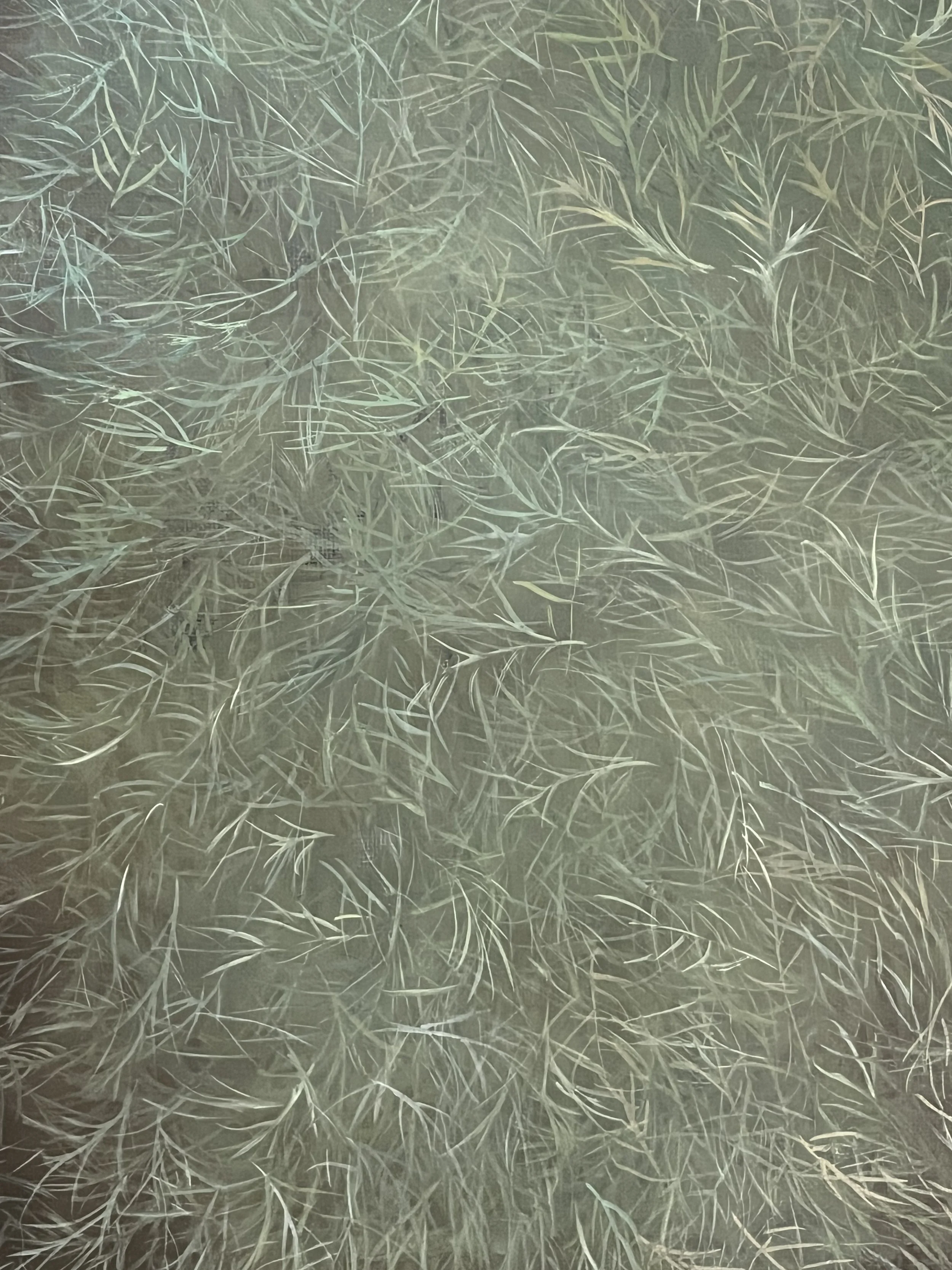 Garden in the Rain (2024)