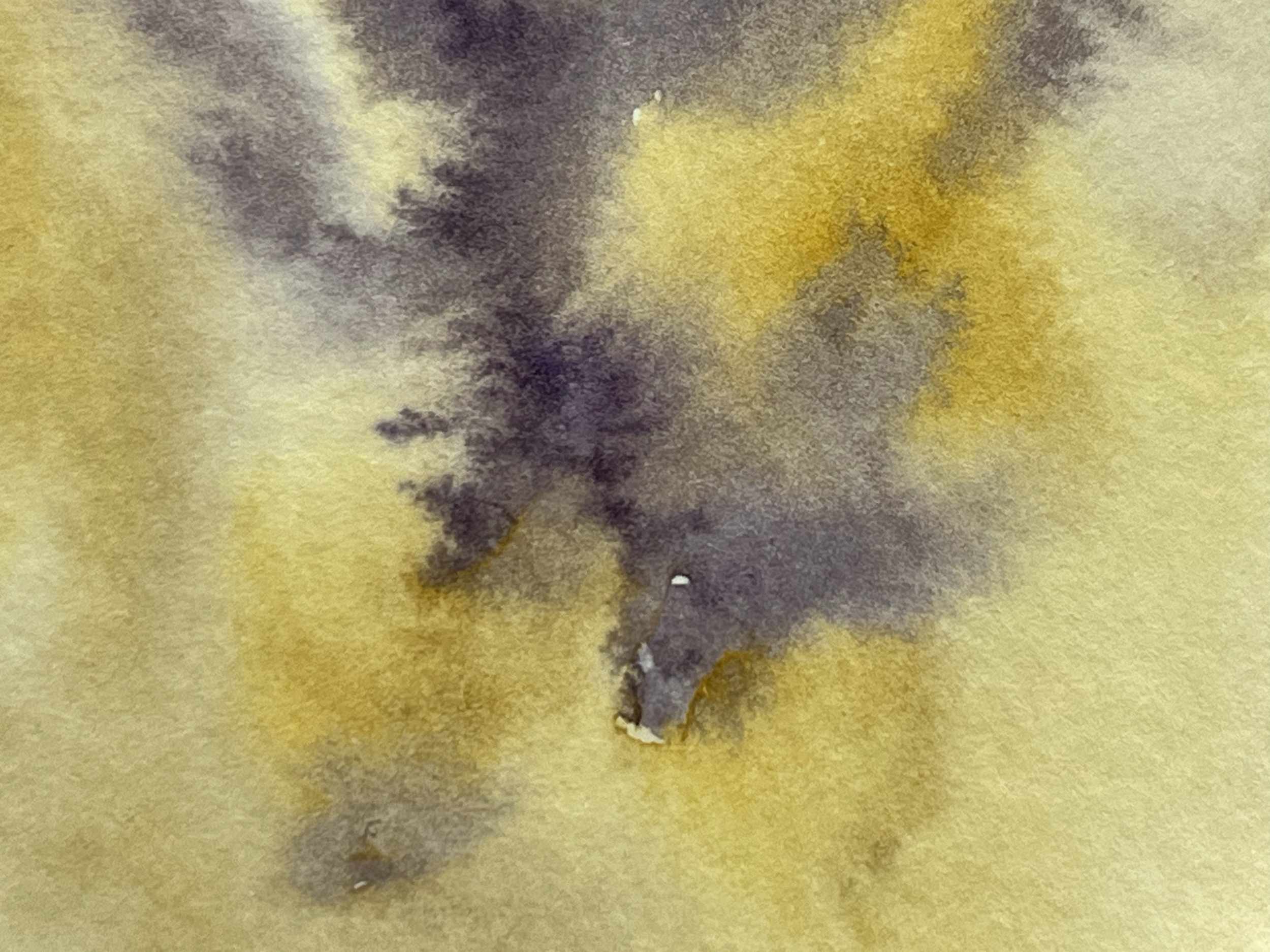 Diary in Watercolour ( 2025-2026)