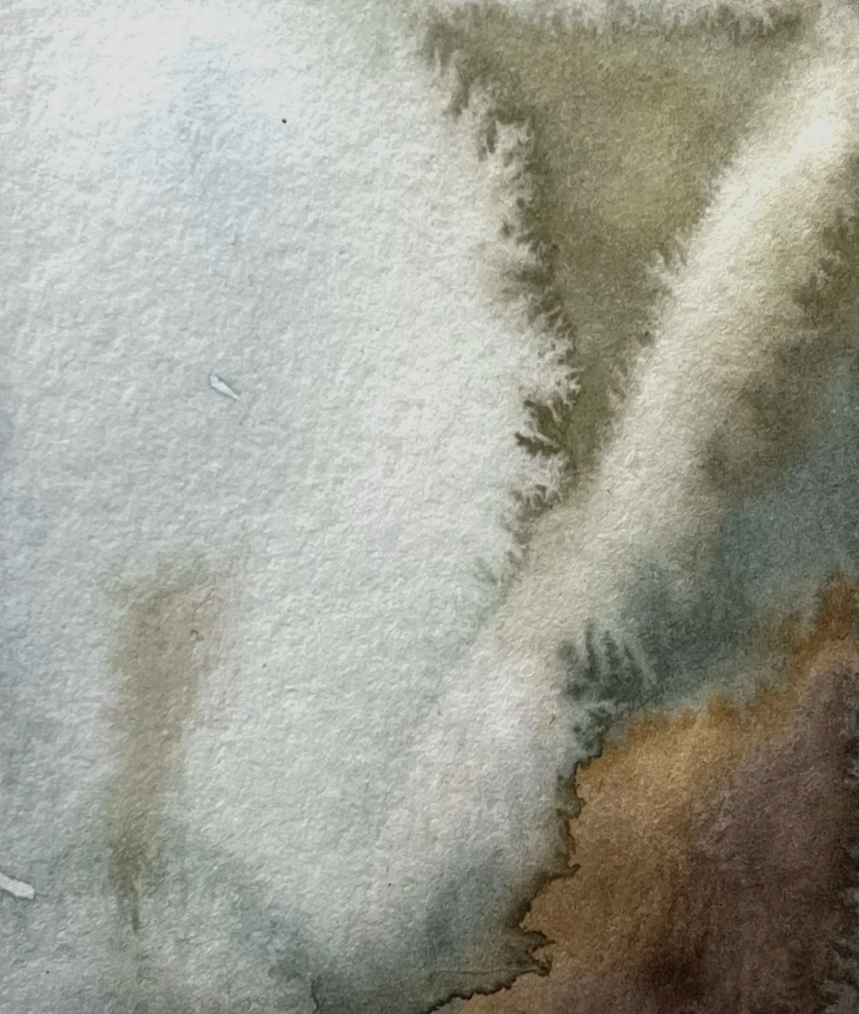 Diary in Watercolour ( 2024-2025)