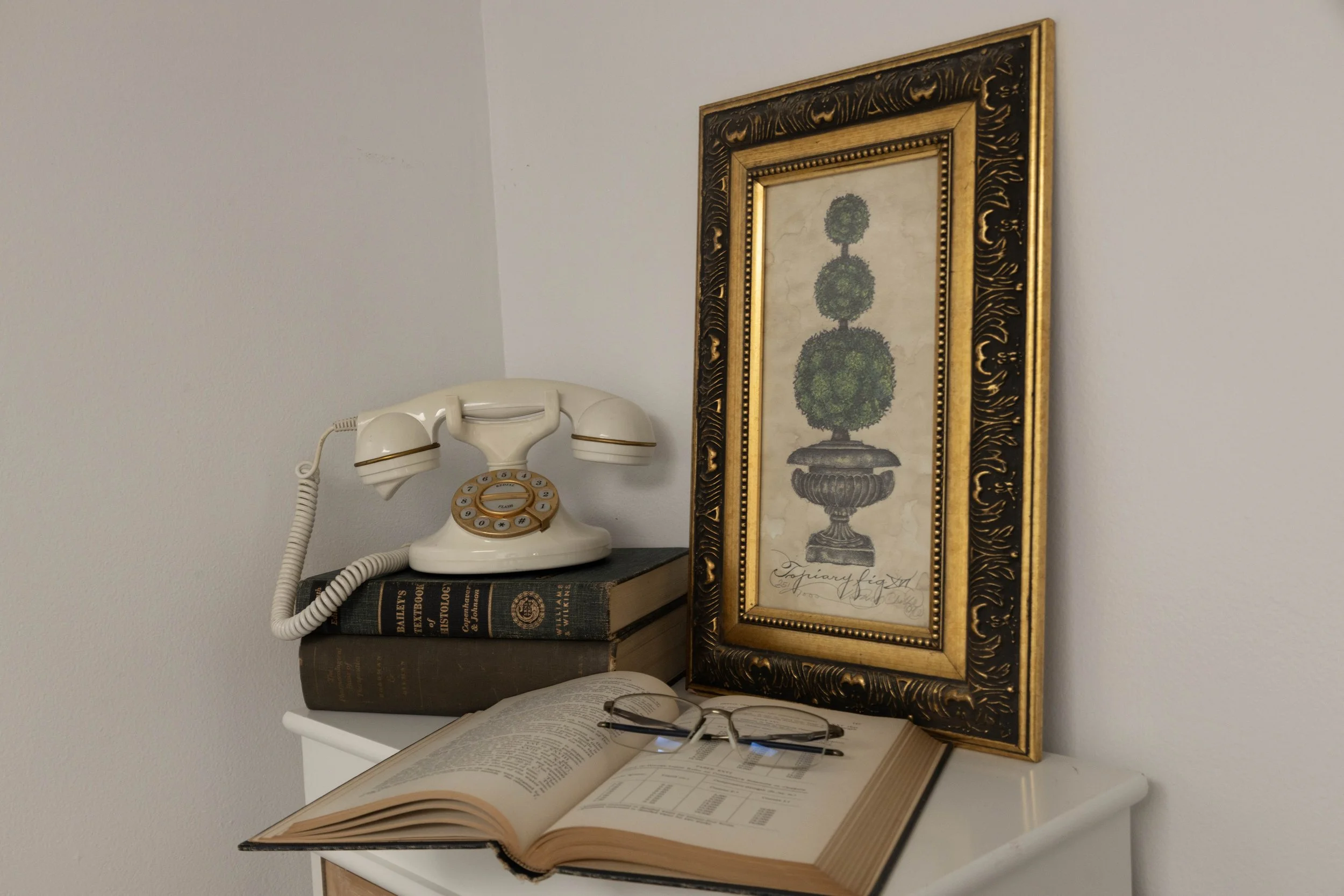 old phone and books copy.jpg