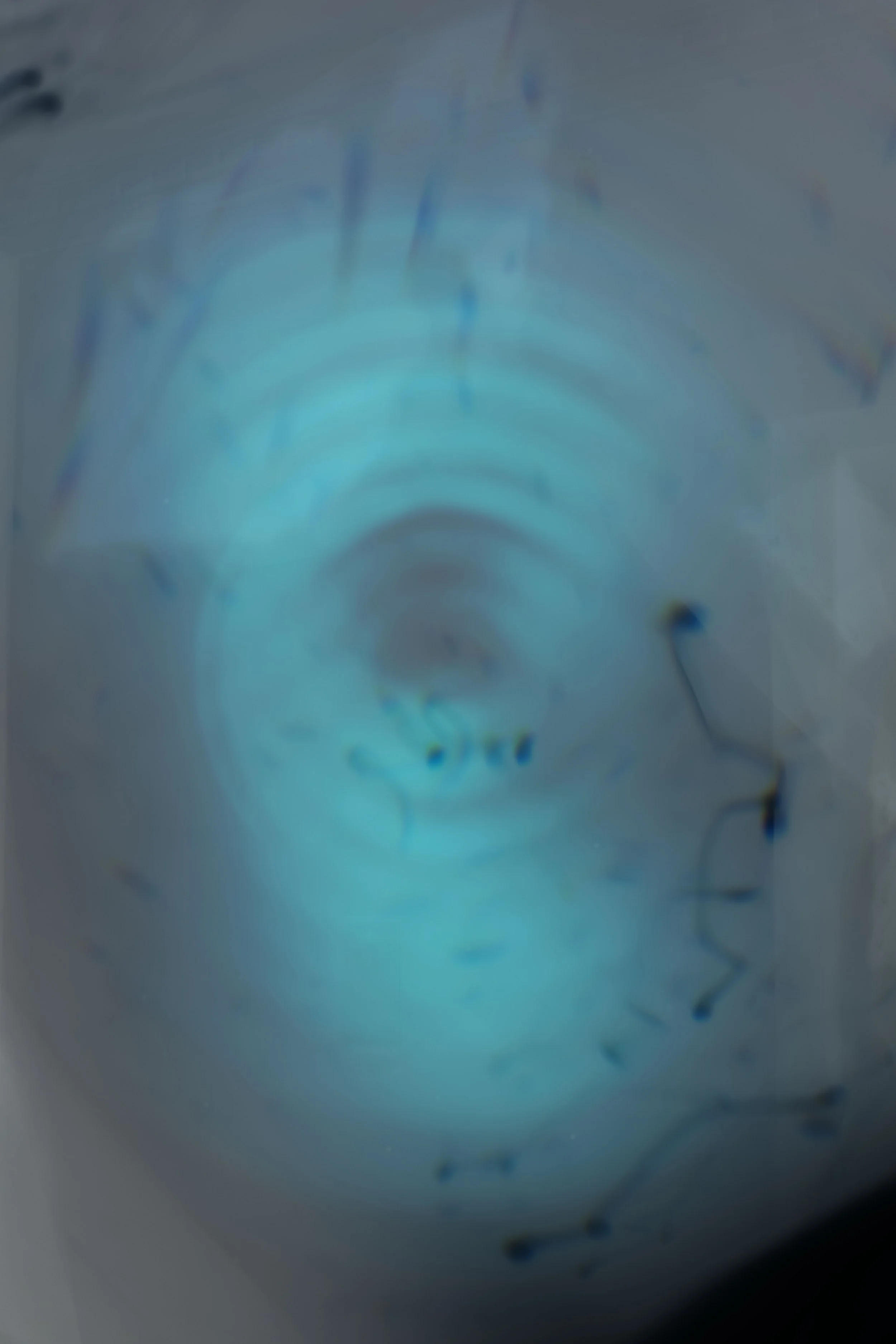 Infinity copy.jpg