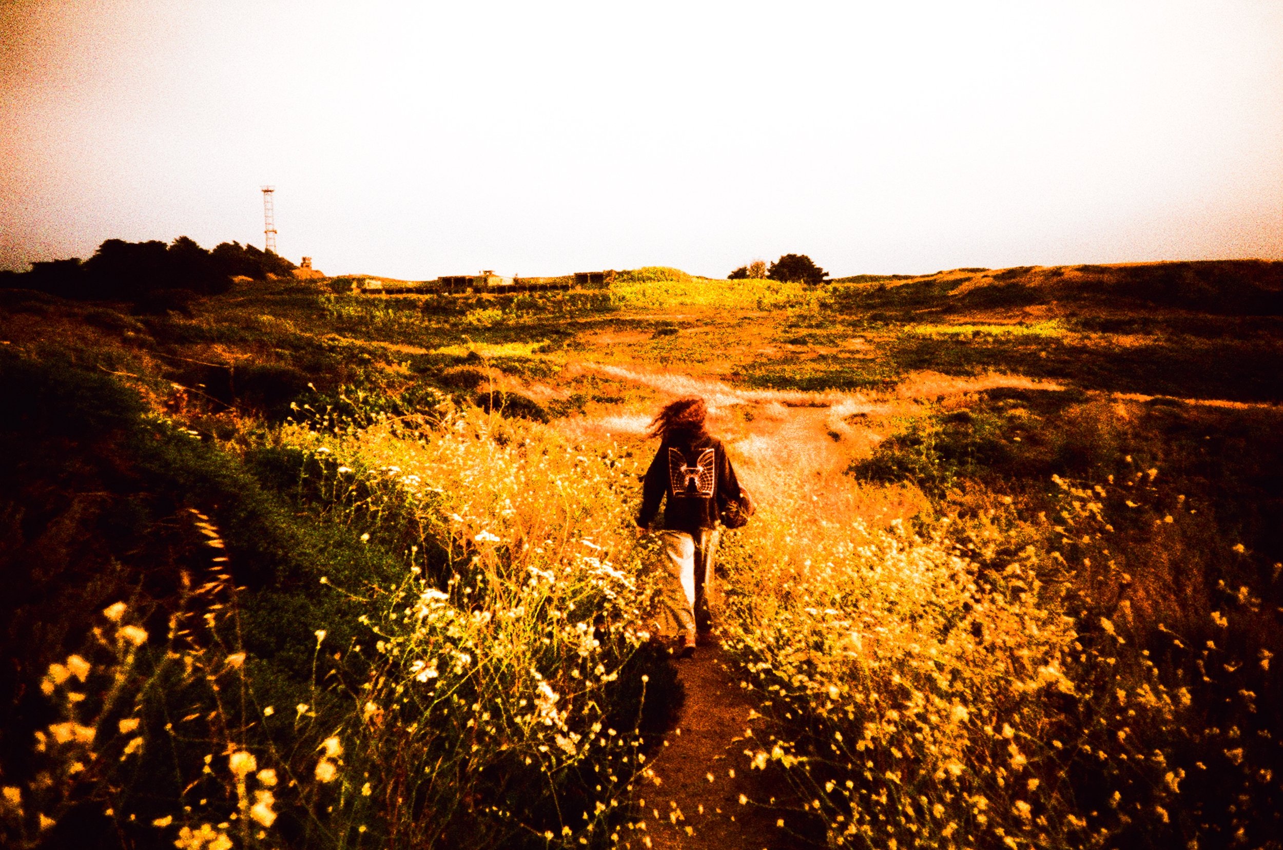 Walking To The Beach - Marin, CA, 2024