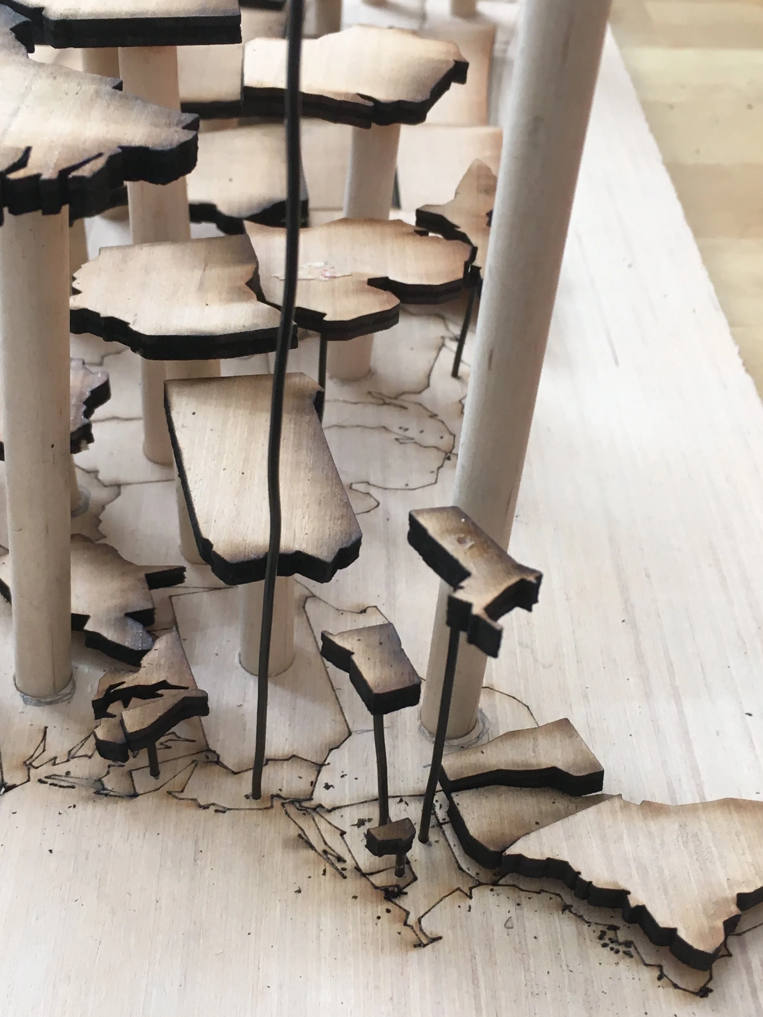 Wooden Map Representing DACA Recipients