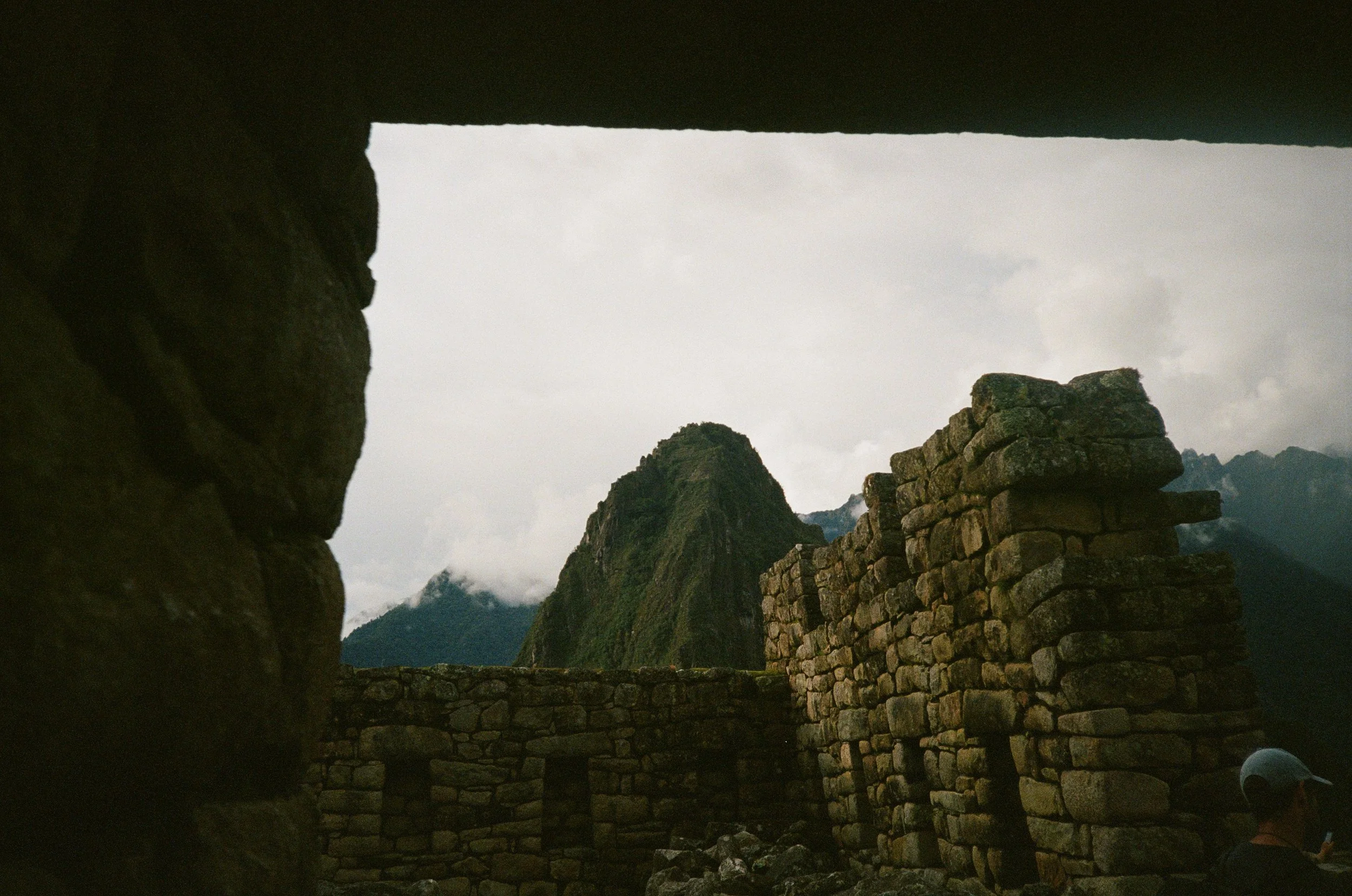Peaking Through Stone - Machu Picchu, Peru, 2024