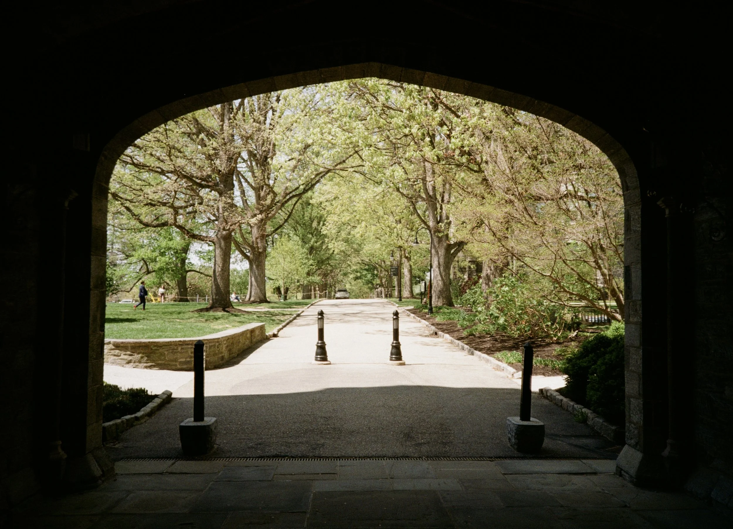 Pem Arch - Bryn Mawr, PA, 2025