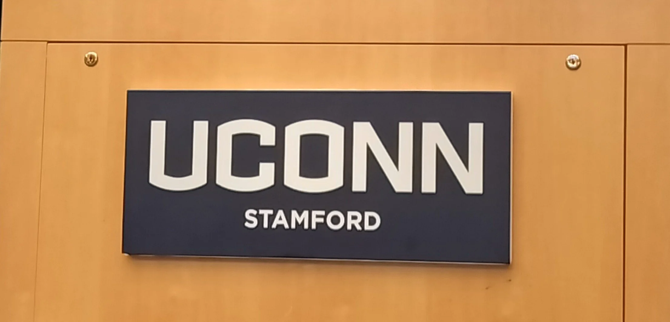 UCONN Seminars on U.S. and Overseas Experiences