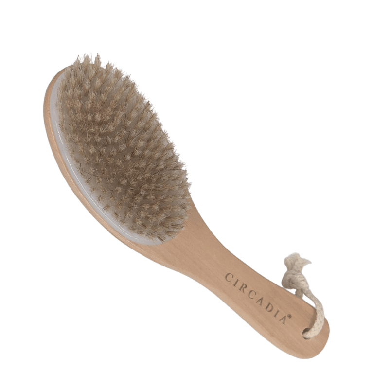 Body Brush | Circadia