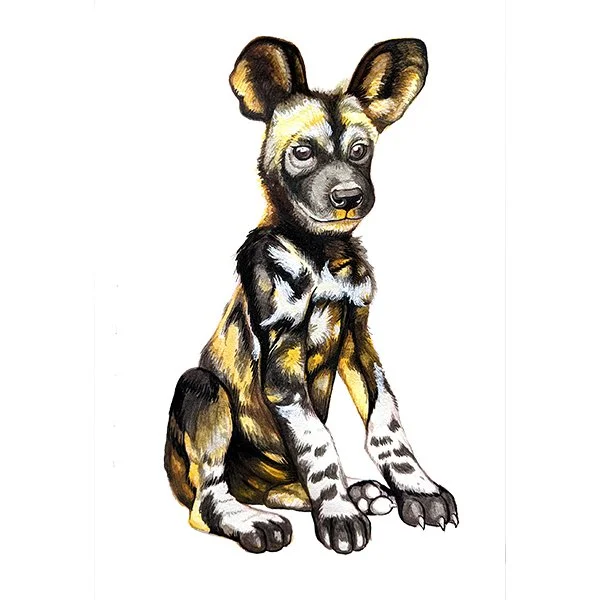 Wild Dog_44_SQWEB.jpg