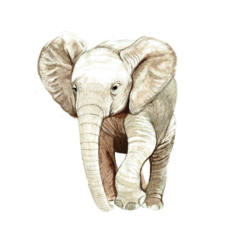 Elephant_5_SQWEB.jpg