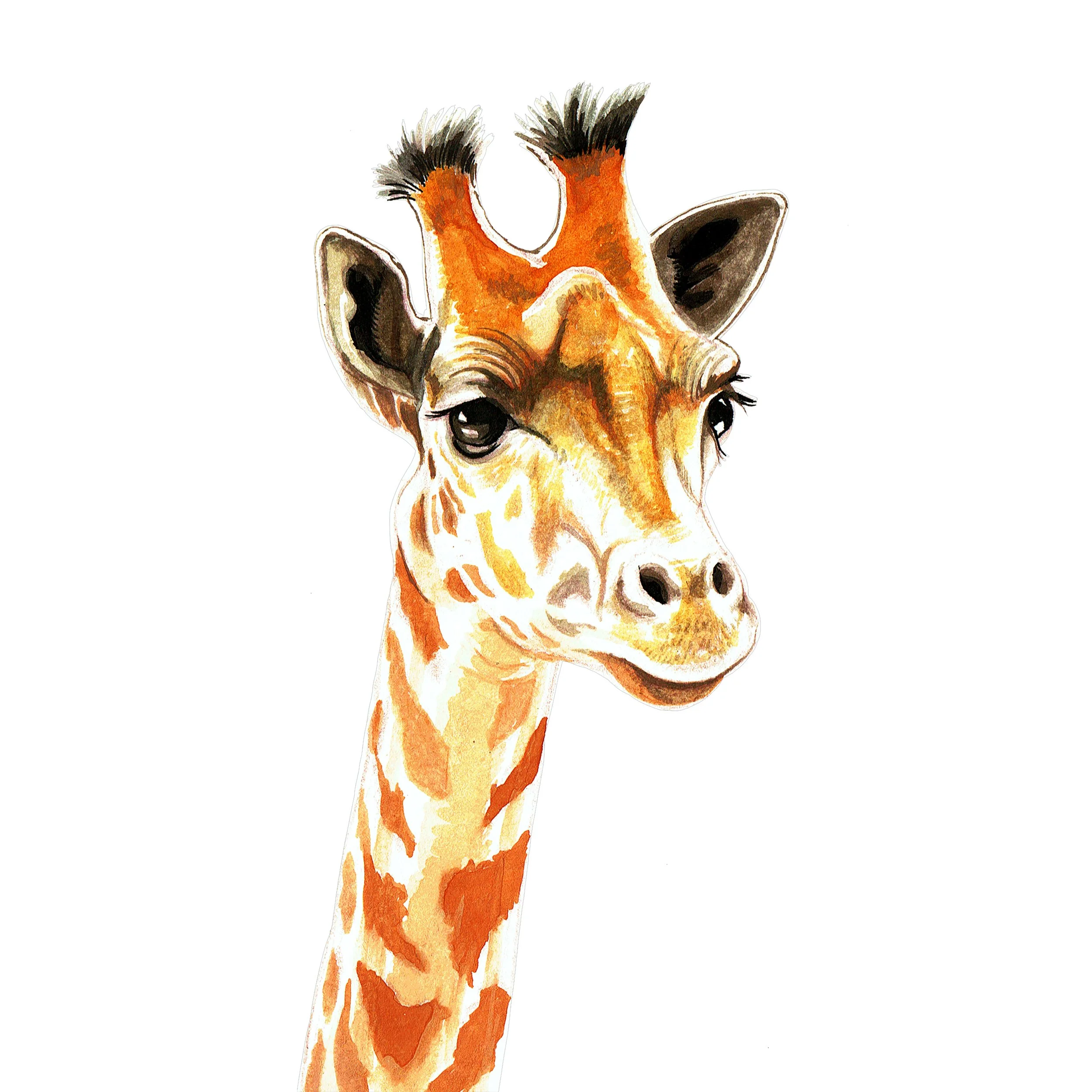 Giraffe_17_SQWEB.jpg