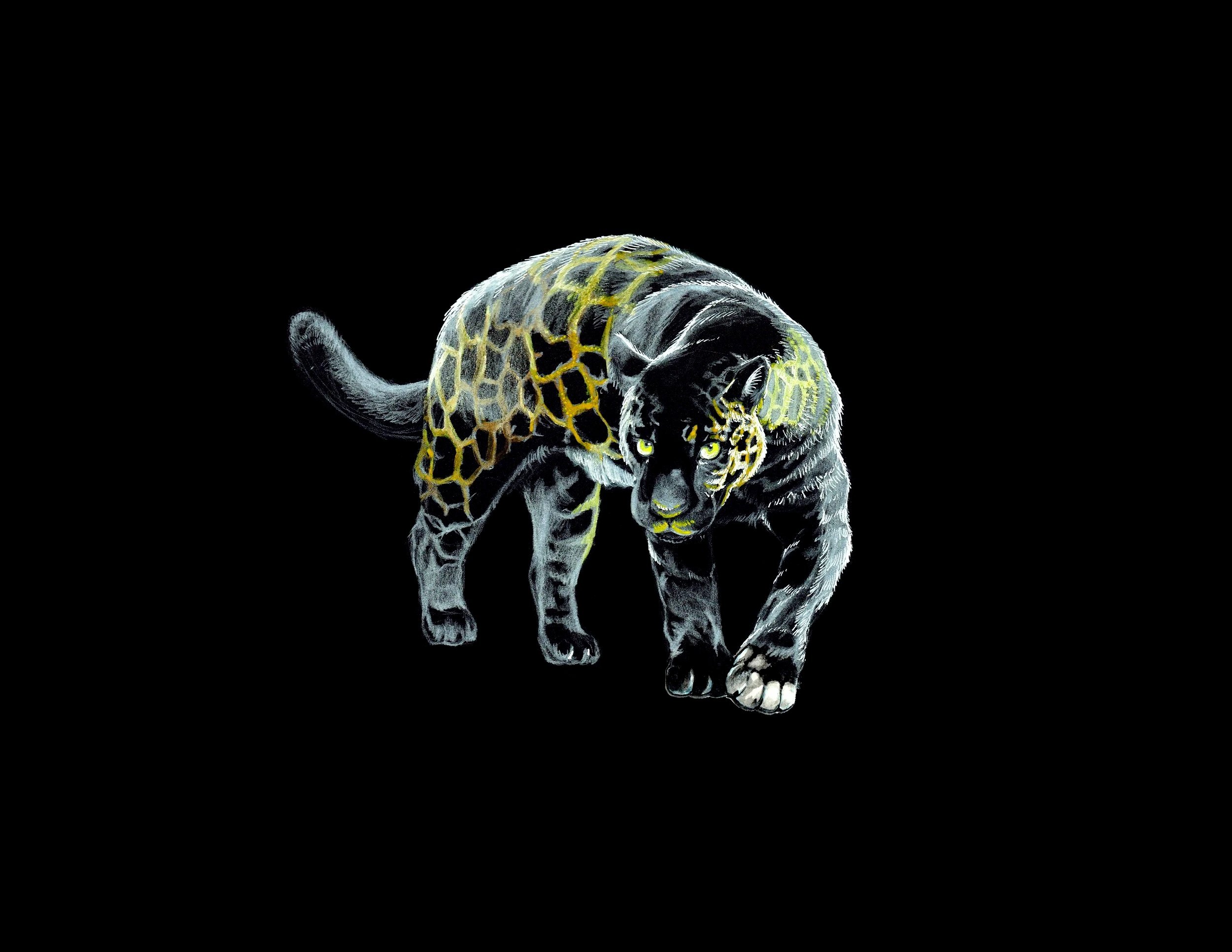 Animal Intelligence: Gift Creatures