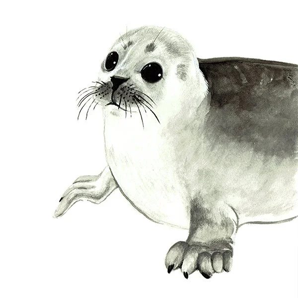 Seal_55_SQWEB.jpg