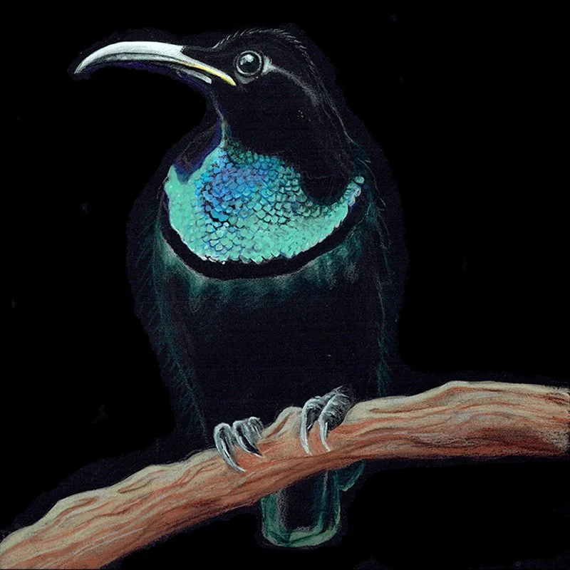 Bird of Paradise_30_SQ_WEB.jpg