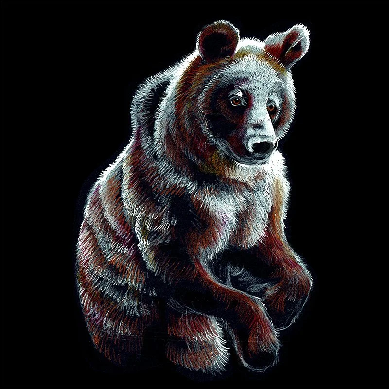 Bear_34_WEBSQ.jpg