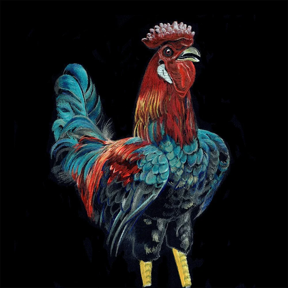 Rooster_1 SQ_WEB.jpg