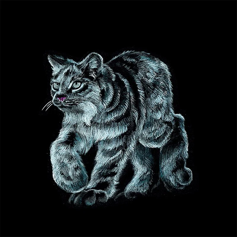 Canadian Lynx_SQWEB.jpg