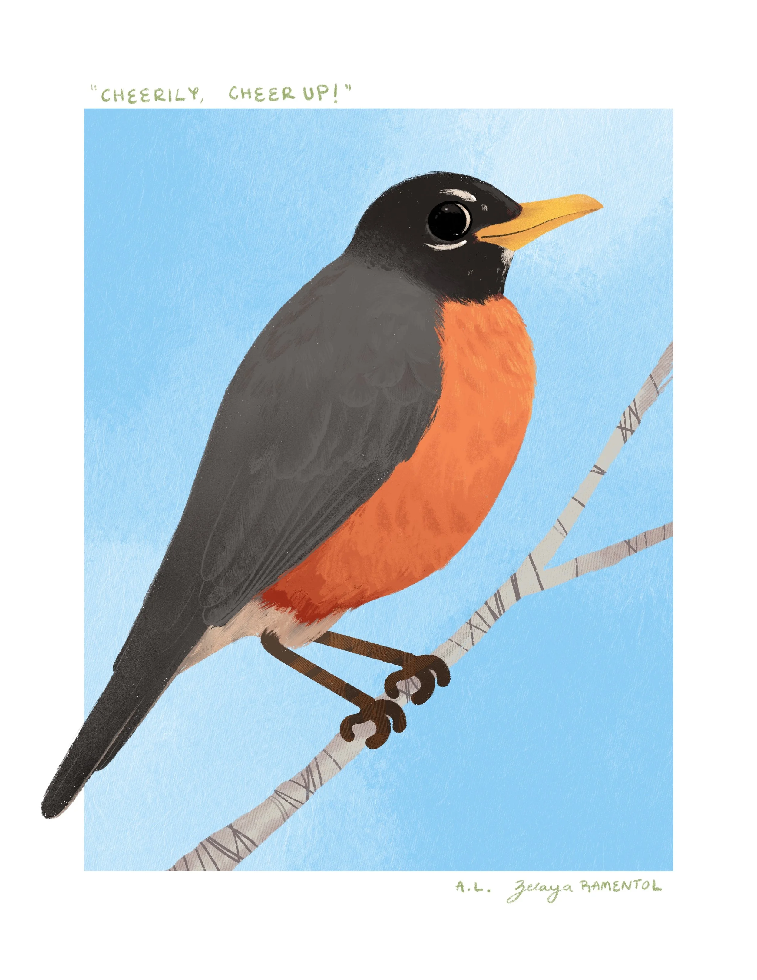 Rockin' American Robin