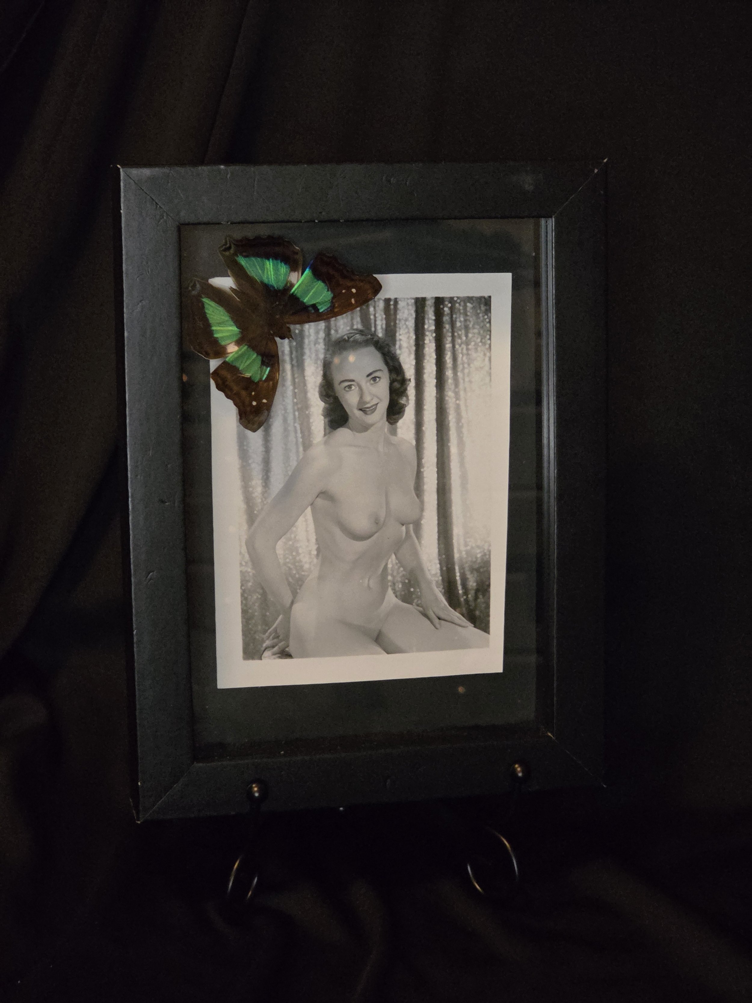 Pinup Girl Butterfly Shadowbox