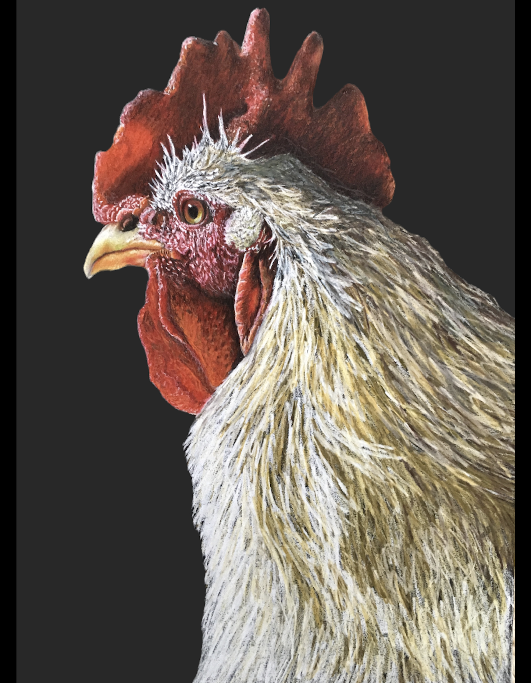 At Dawn - Colored Pencil - 2017