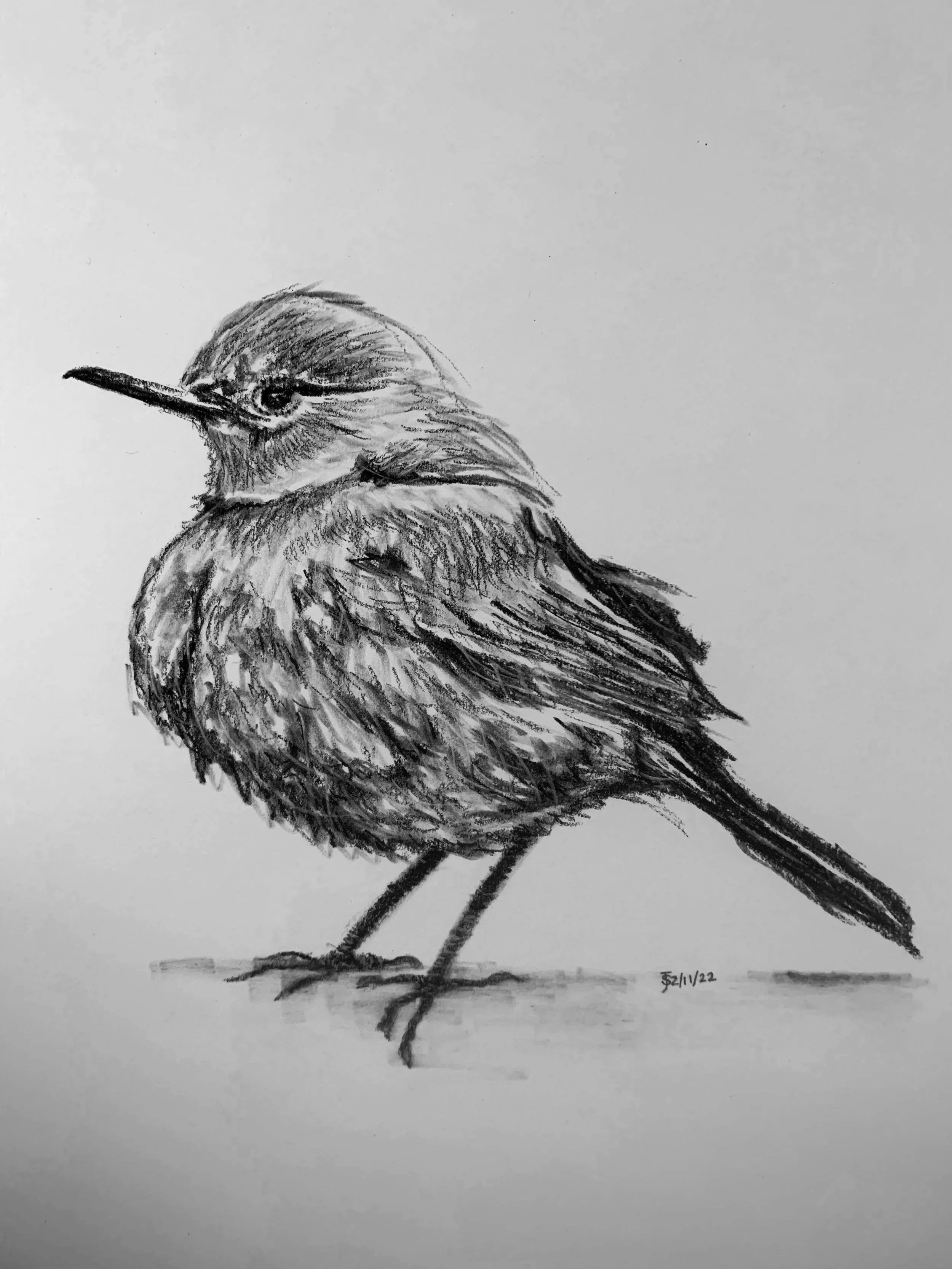 Messenger - Charcoal - 2022