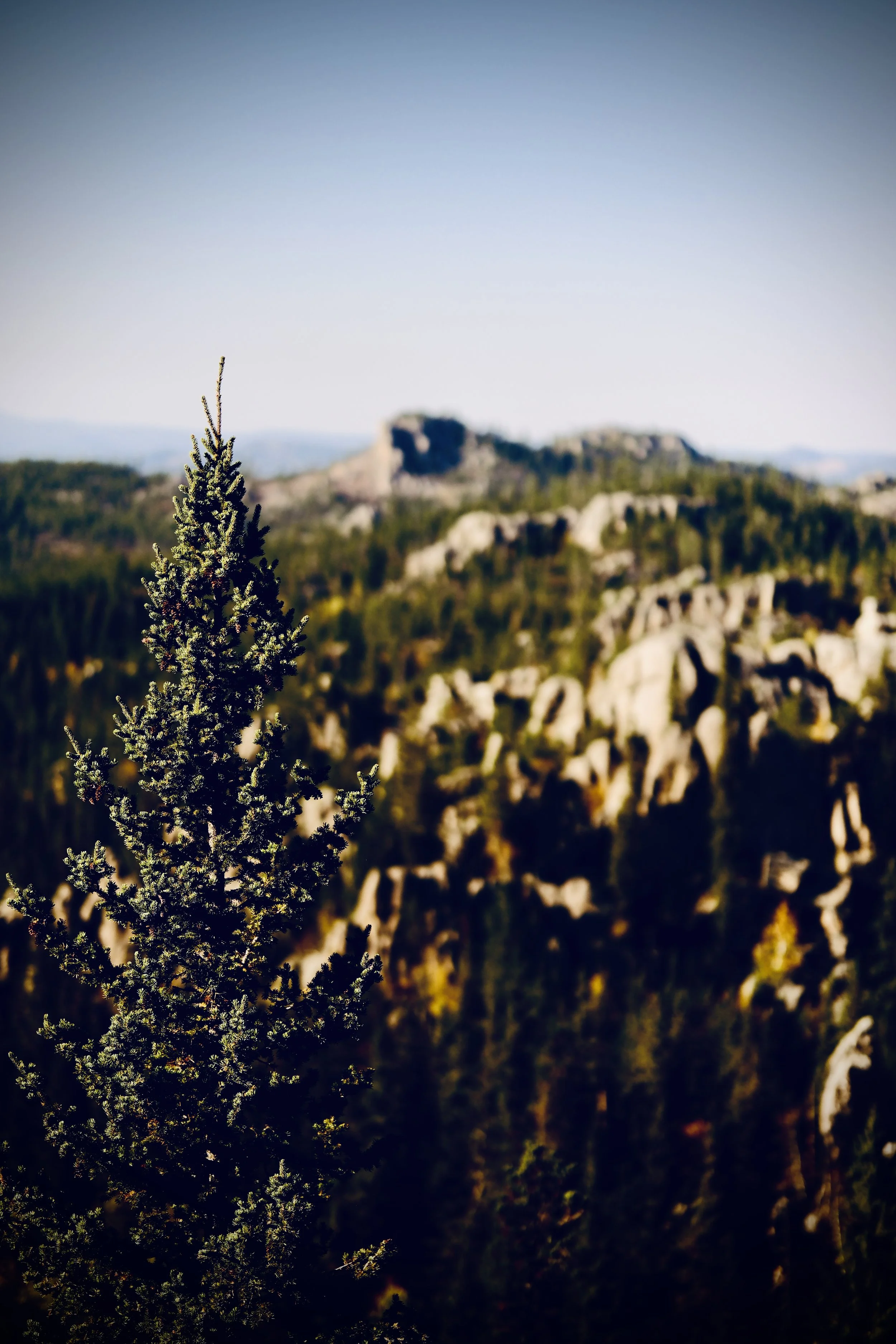 2 : Black Elk Wilderness - 2024