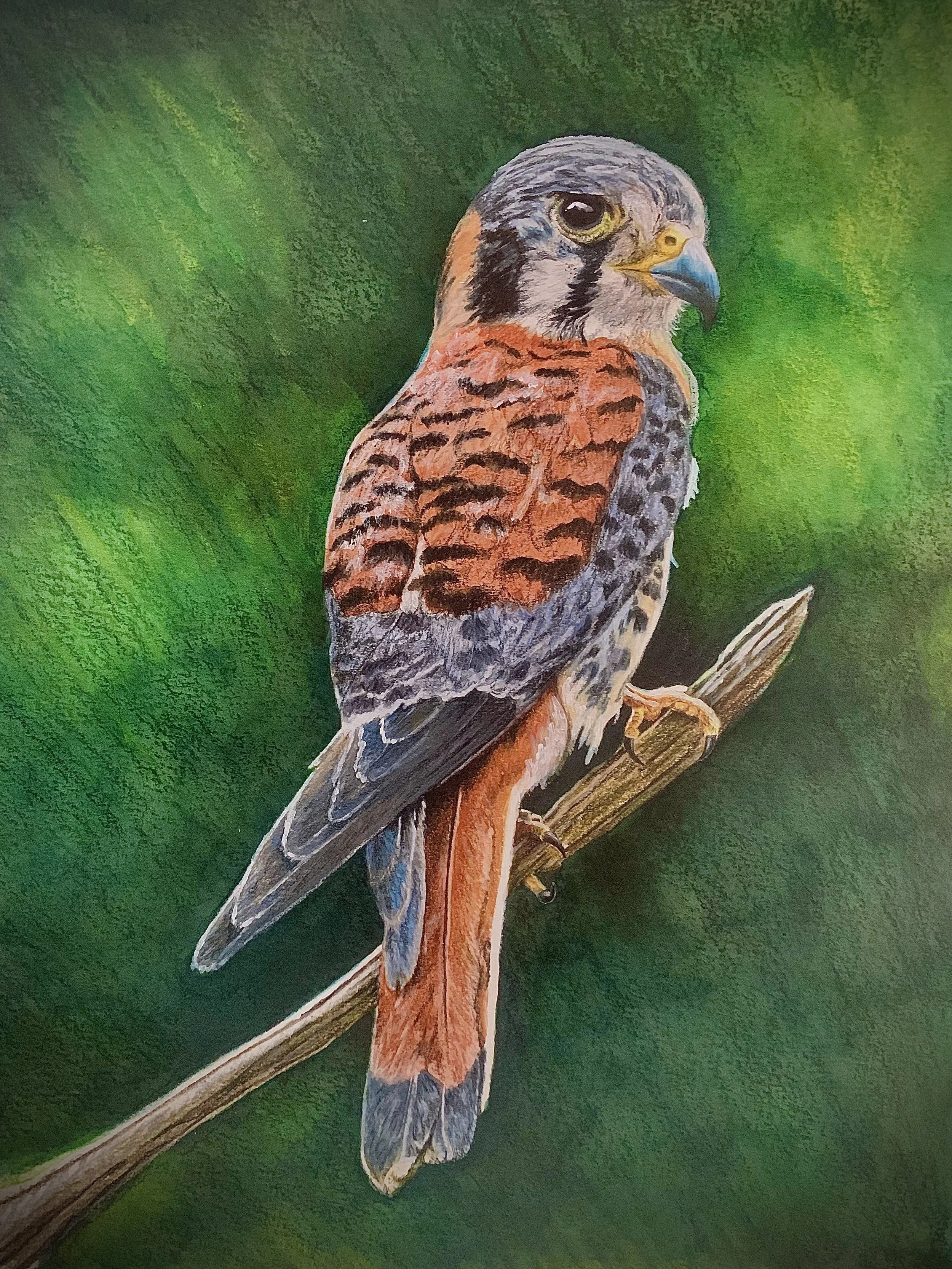 Sentinel - Colored Pencil - 2021