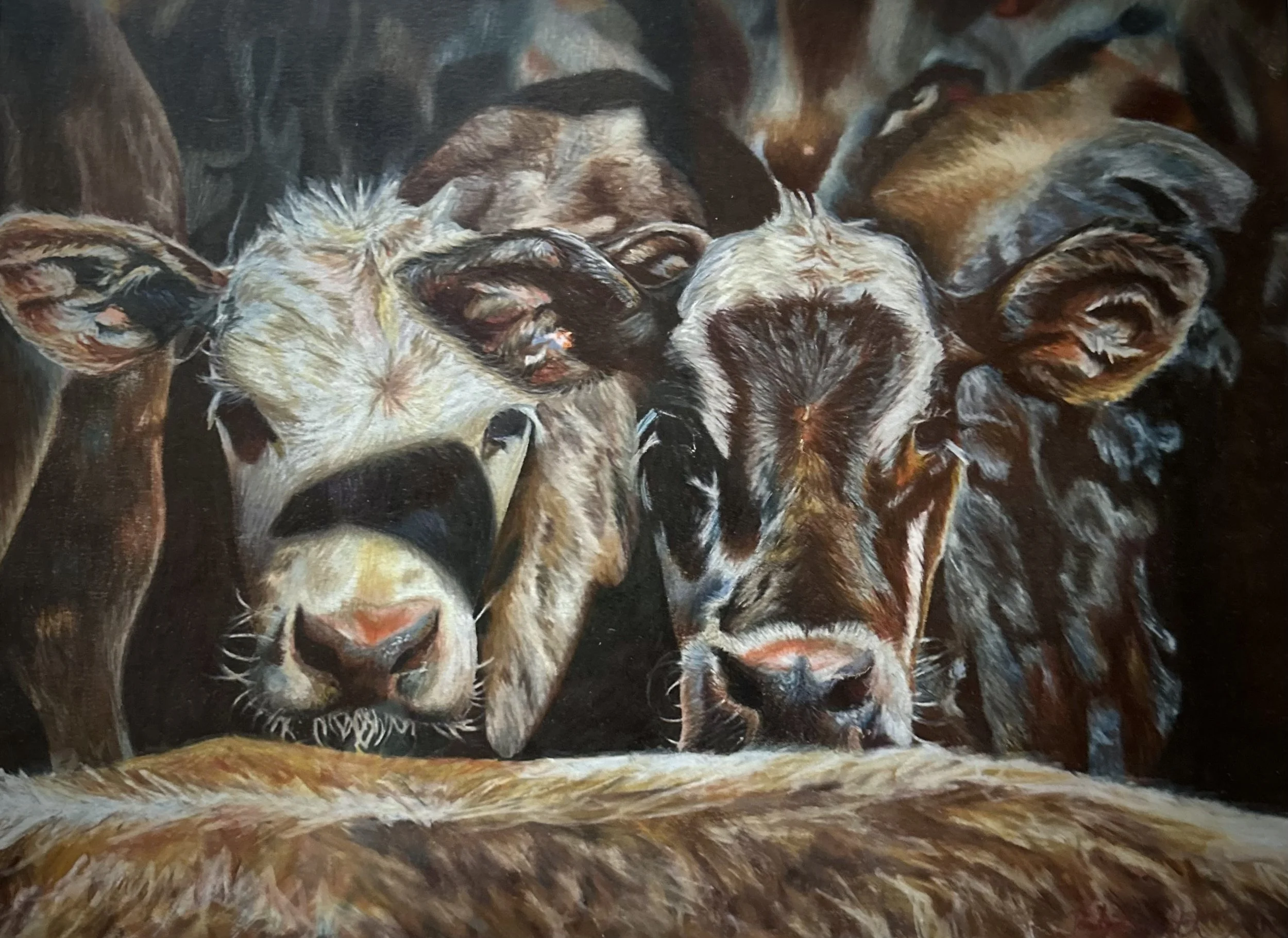 Curious Calves - Colored Pencil - 2019