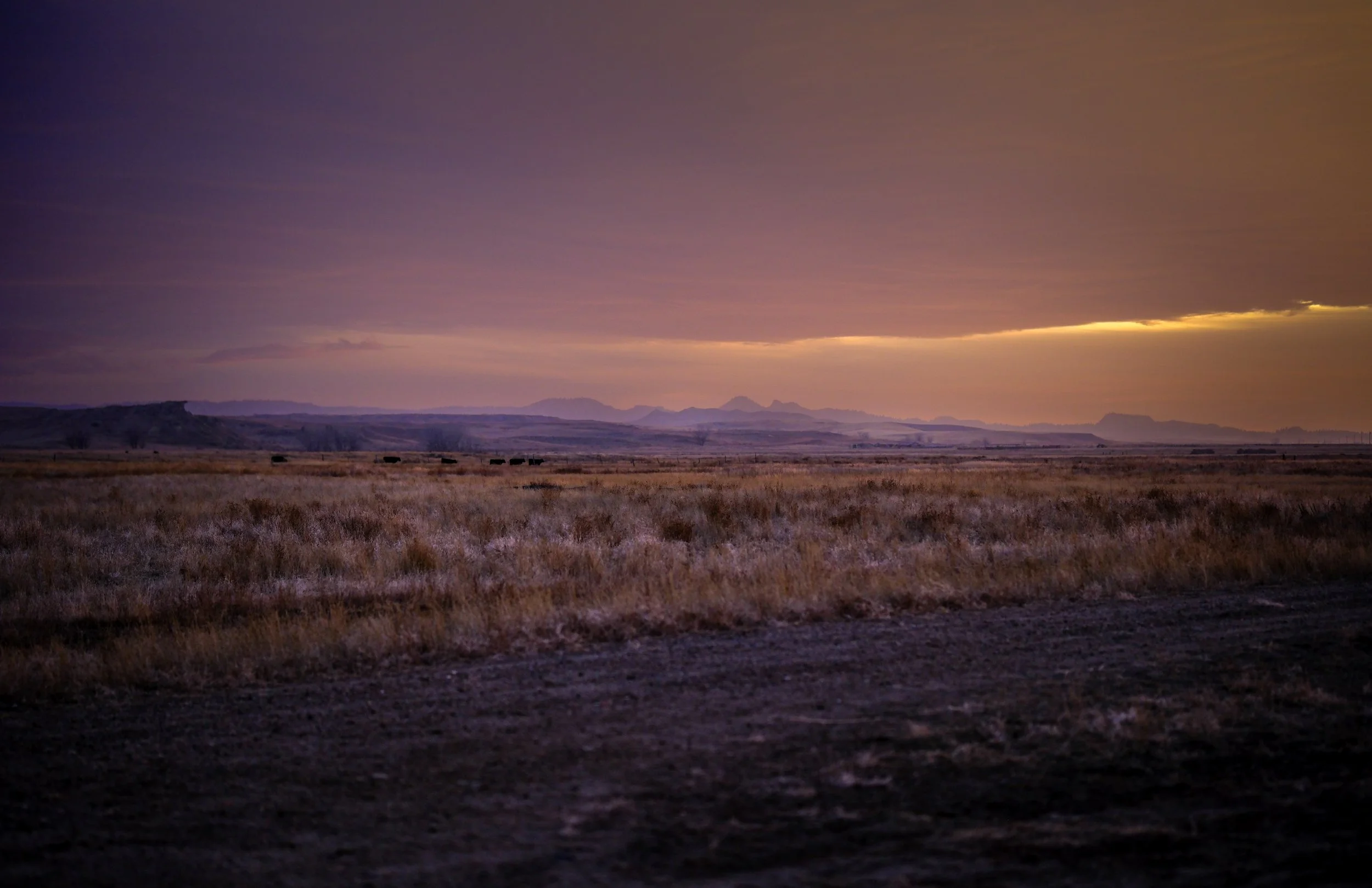 Powder River Range - Dusty Rose