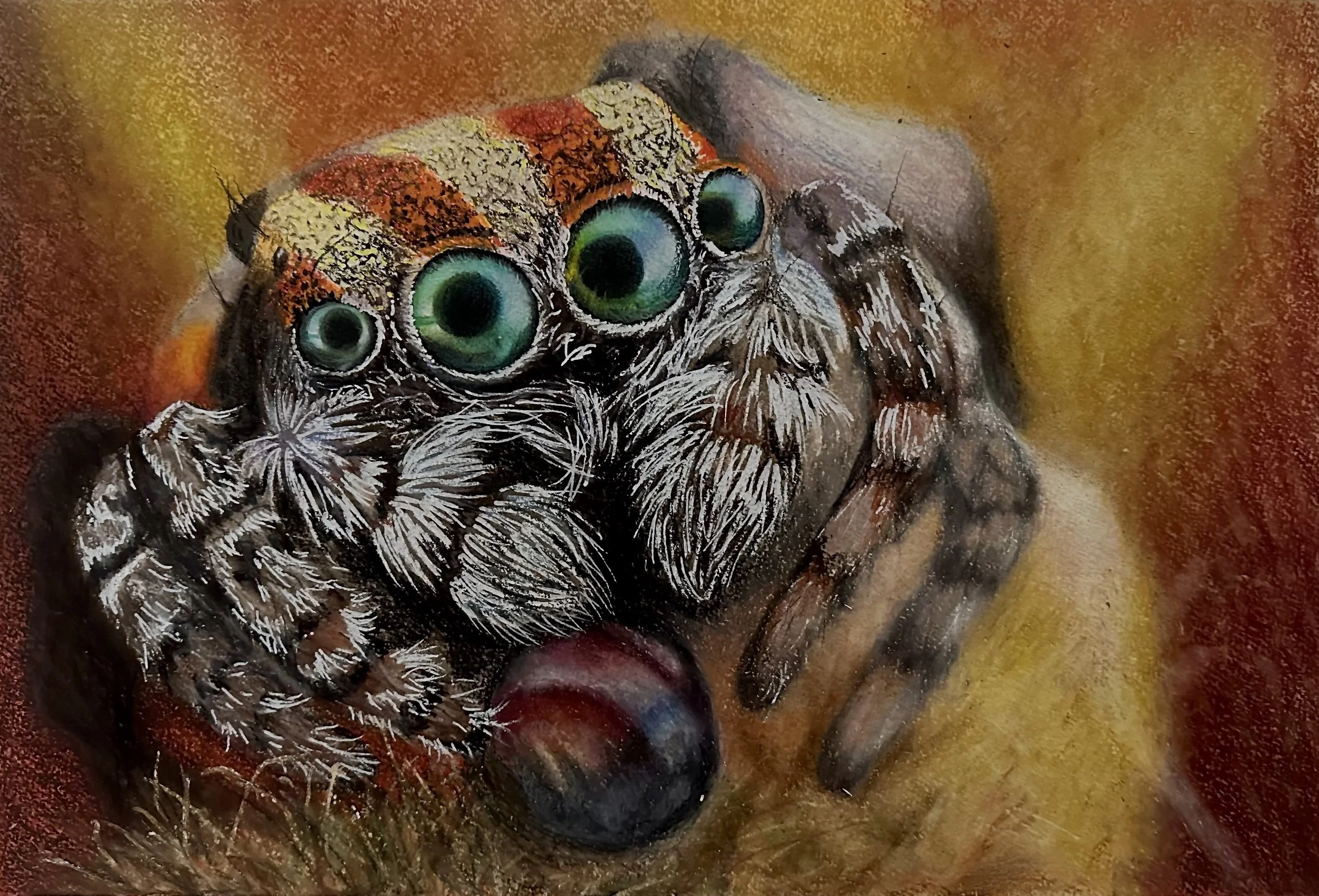 Dew Drink - Colored Pencil - 2024