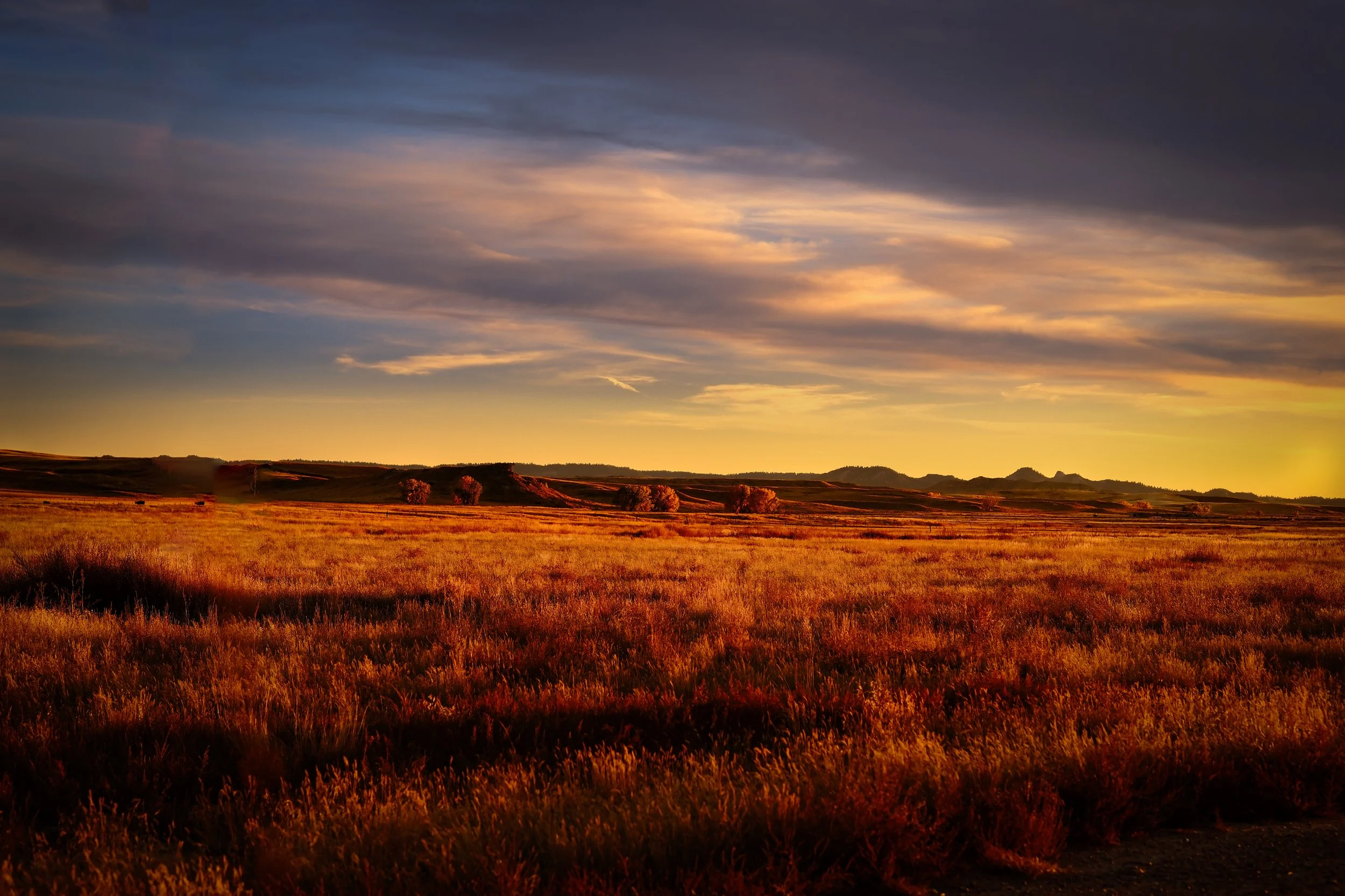 2 : Powder River Range