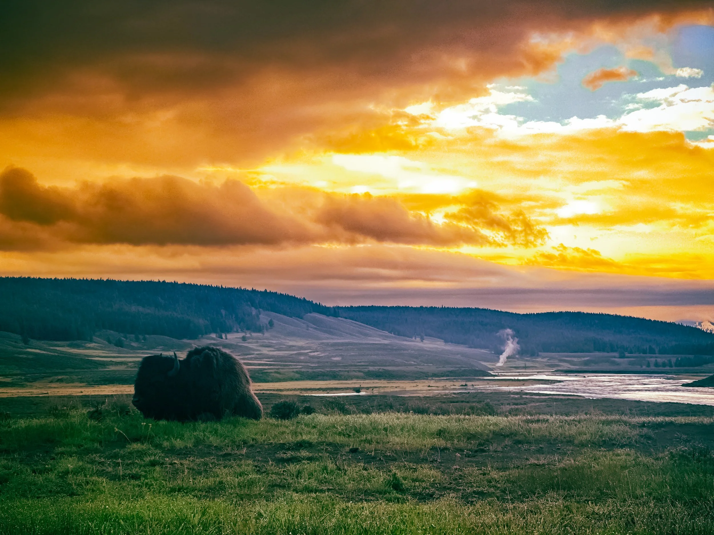 2 : Yellowstone National Park - 2024