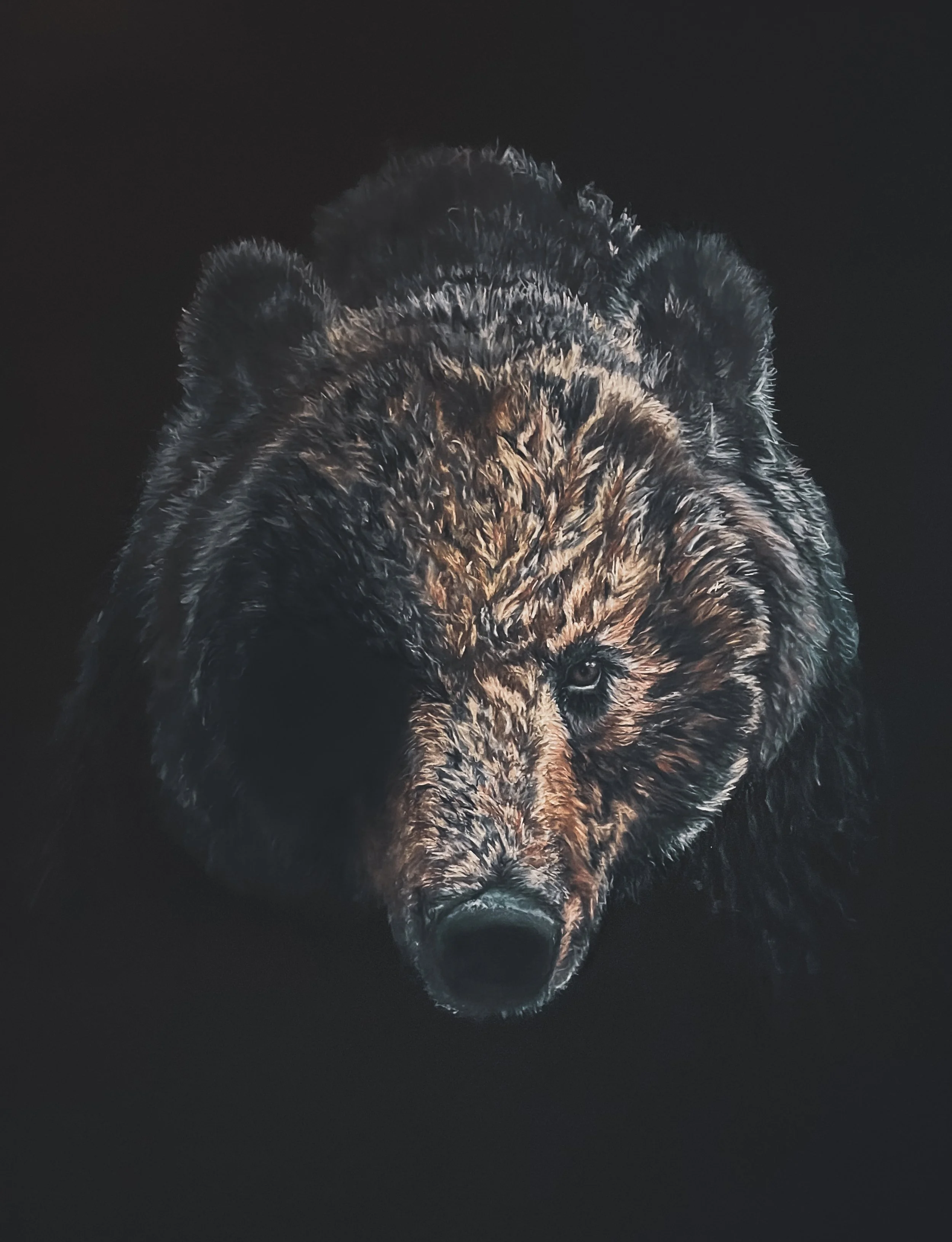 The Guardian - Colored Pencil - 2026