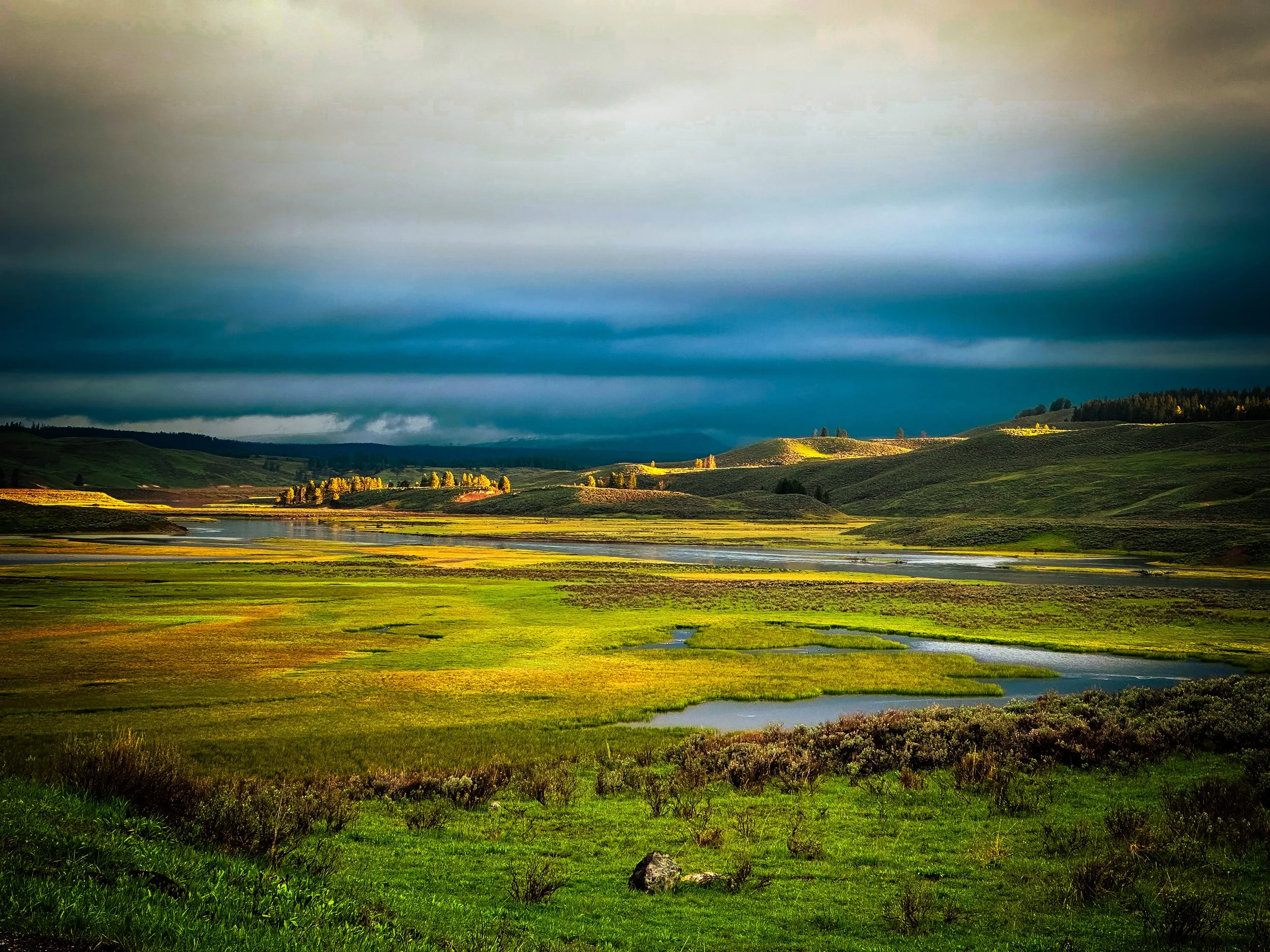 1 : Yellowstone National Park - 2024