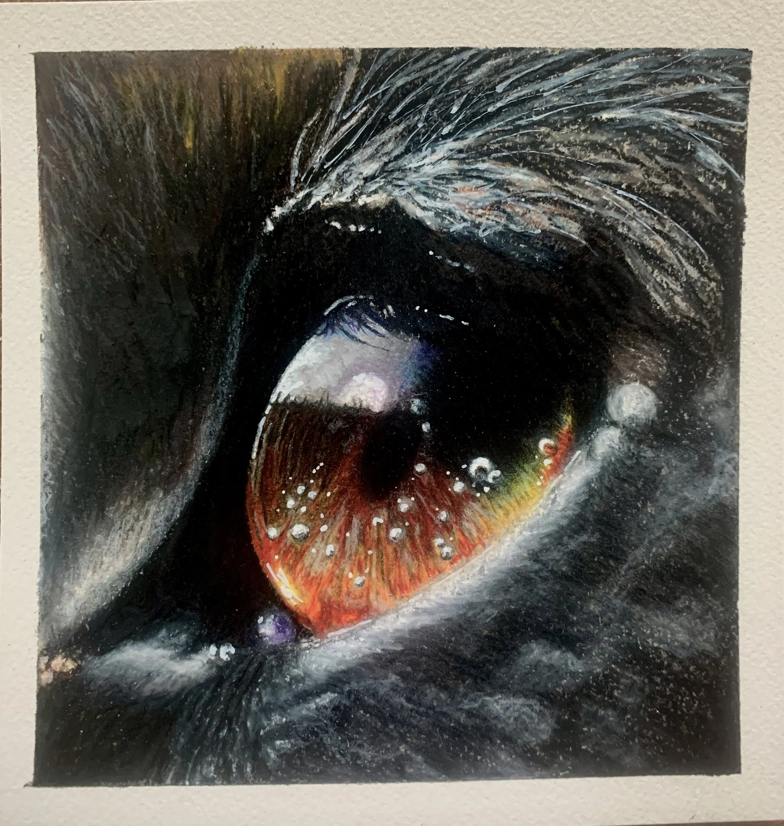 Dreamer - Colored Pencil - 2023