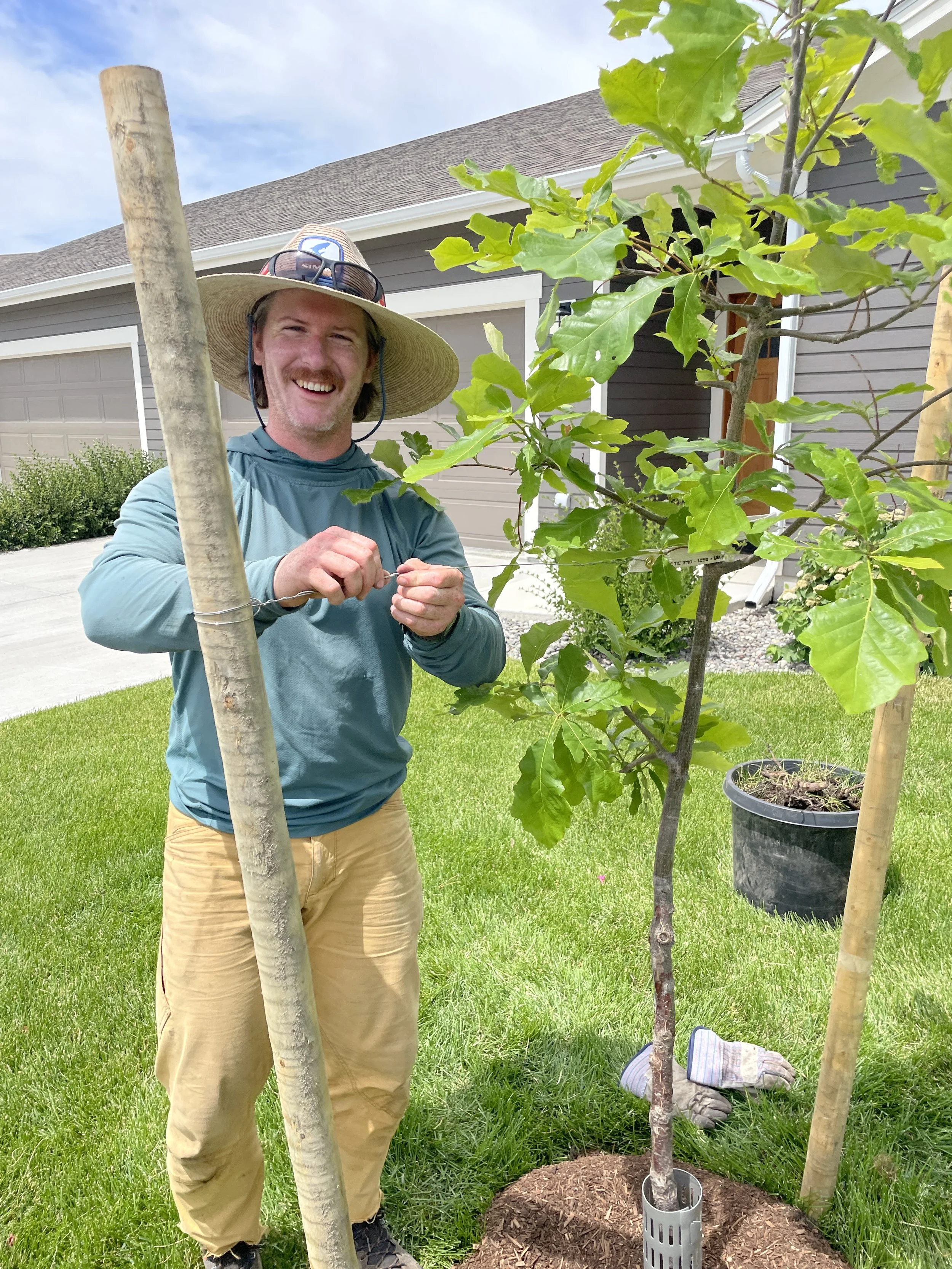 A man planting a young tree in a residential yard, smiling, wearing a wide-brimmed hat and gardening gloves, with a house and a lawn in the background.