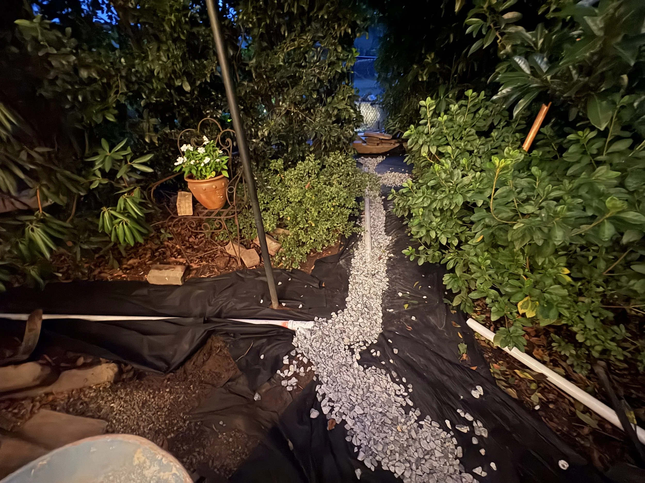 Augusta Rd Backyard Renewal (Drainage/In-Progress)