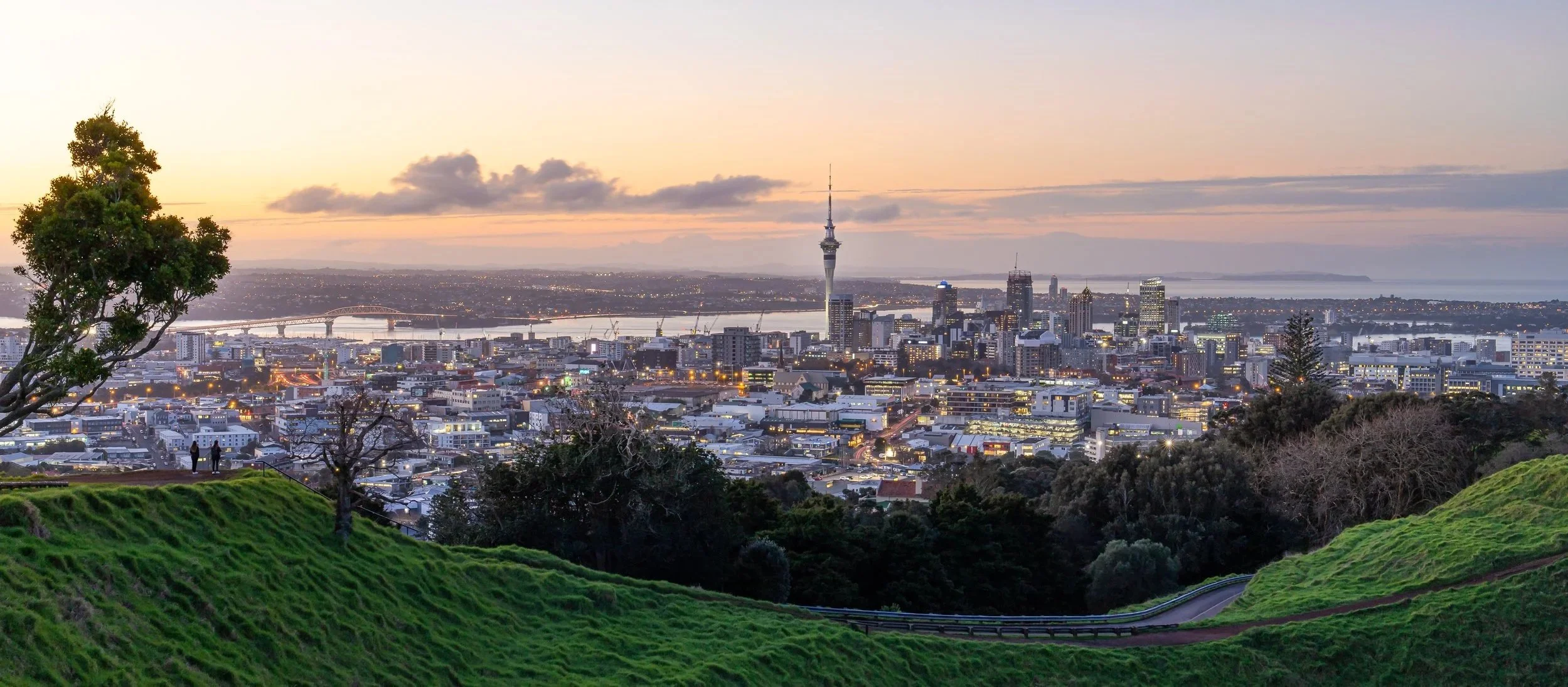 View of Auckland city skyline during sunset, with the Sky Tower, city buildings, bridges, and a body of water in the background, seen from a grassy hill with trees in the foreground.