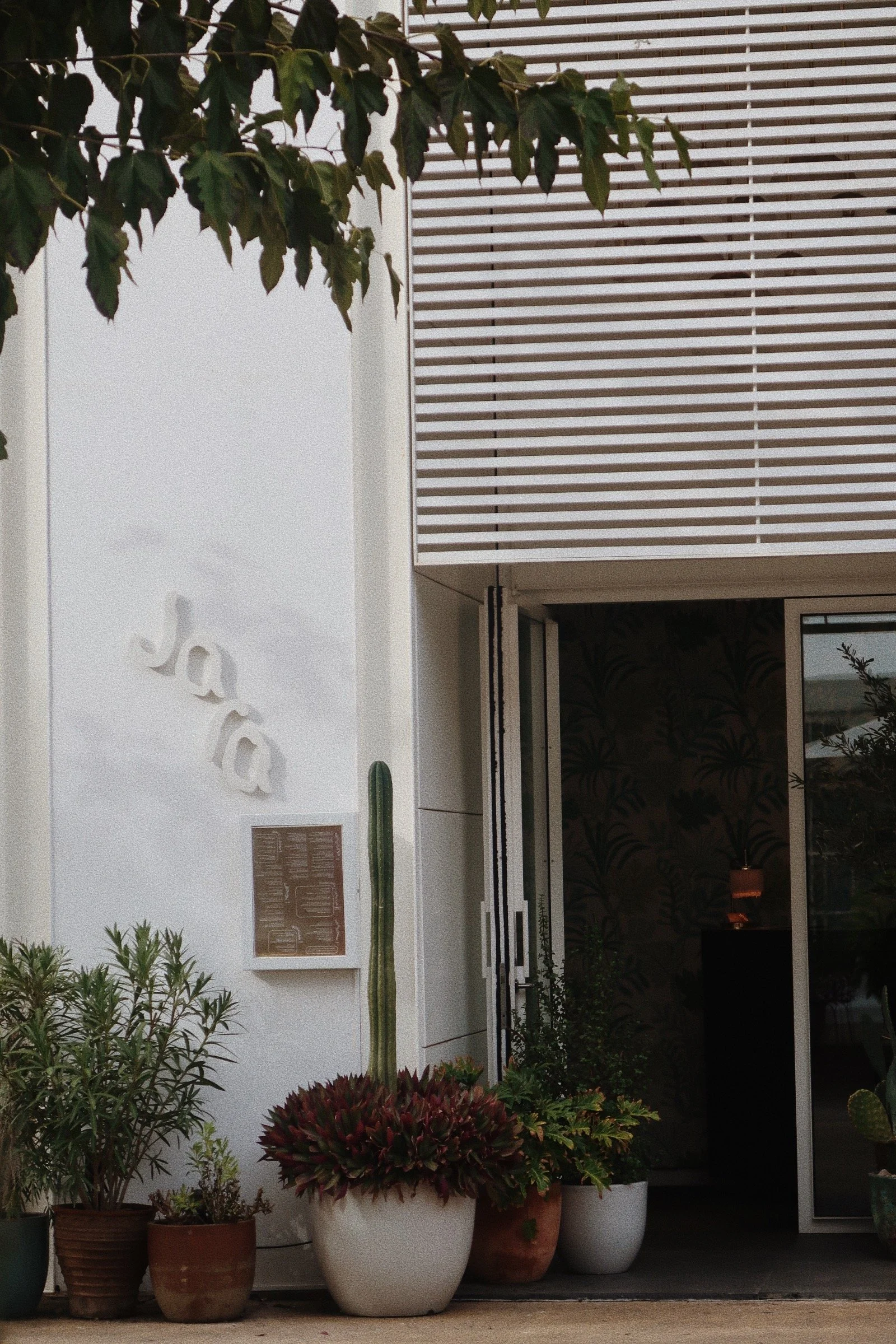 BF592F4A-0ECA-4468-ACFD-0FC9F96A8B32 2.JPG