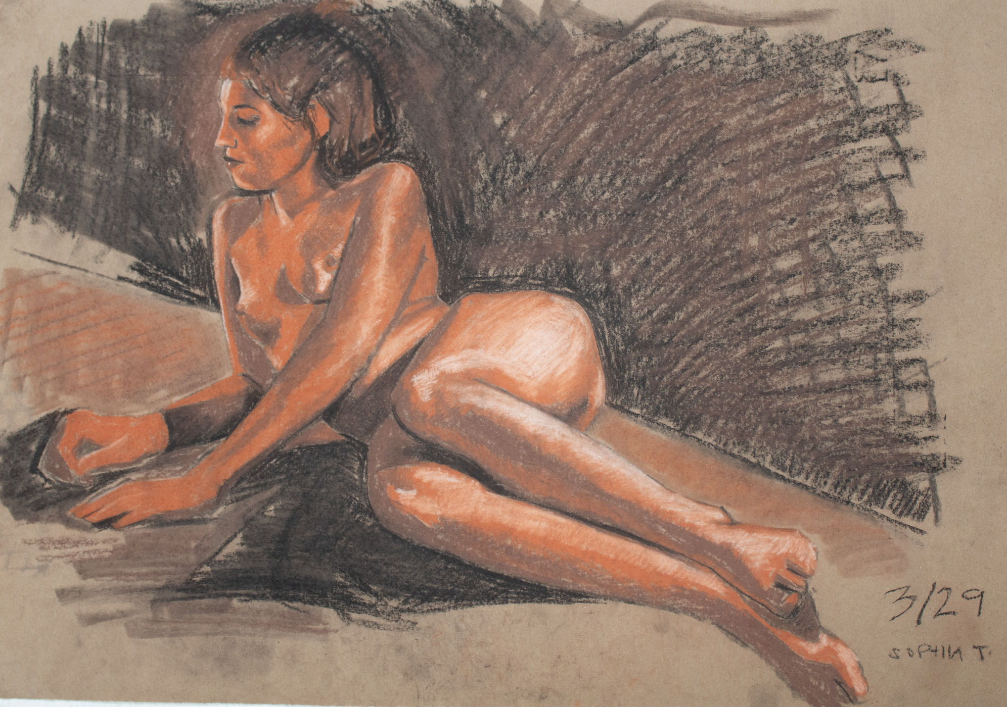 anatomy for the artist