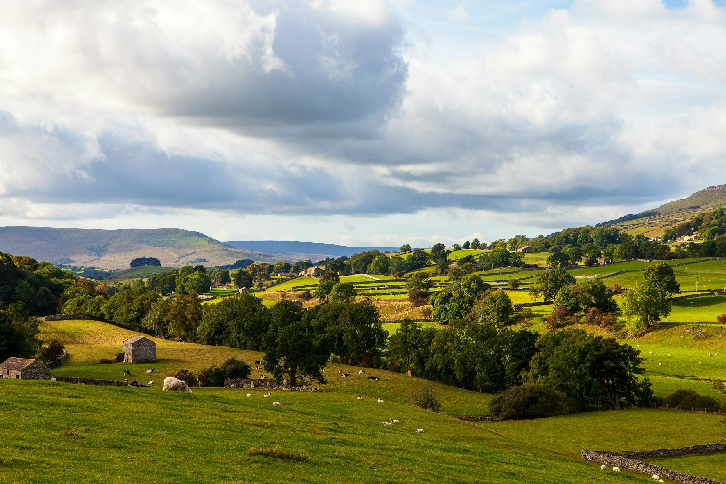 Green rolling hills with trees, stone buildings, and grazing sheep under a partly cloudy sky.