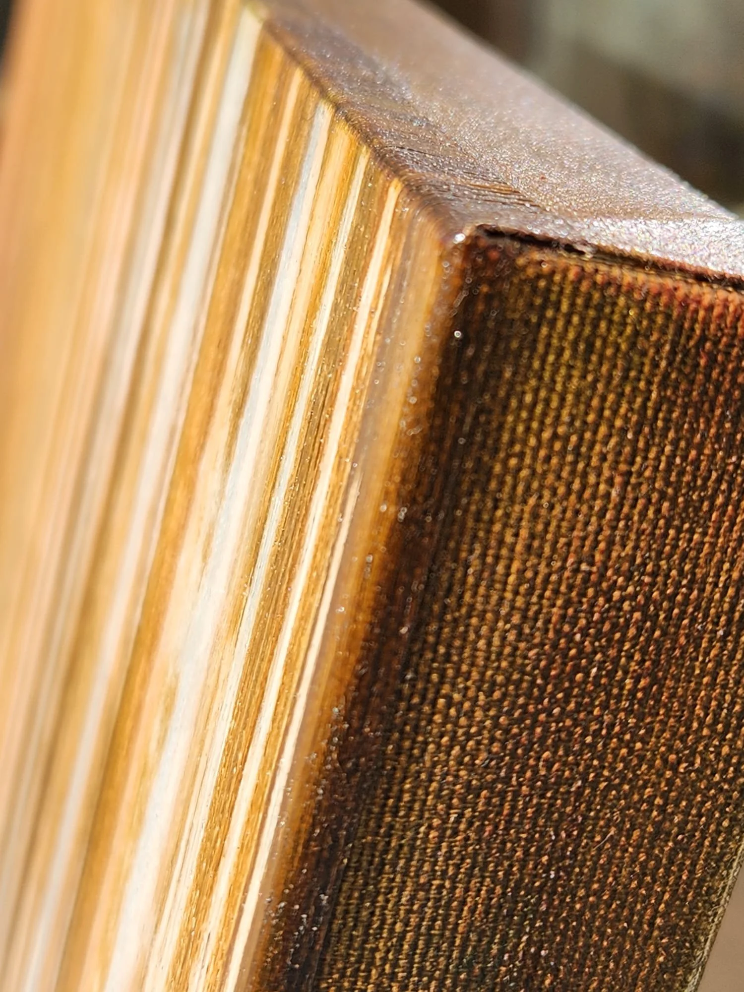 Elsewhere it Rains_ Edges_closeup.jpeg