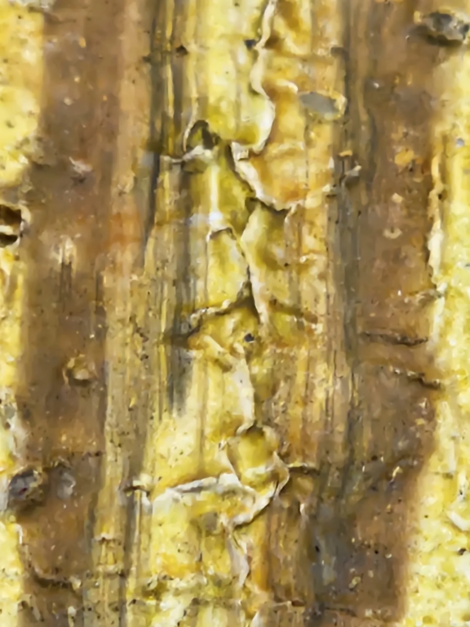 Archeology of Strenght and Courage_texturedsurface 11.jpeg