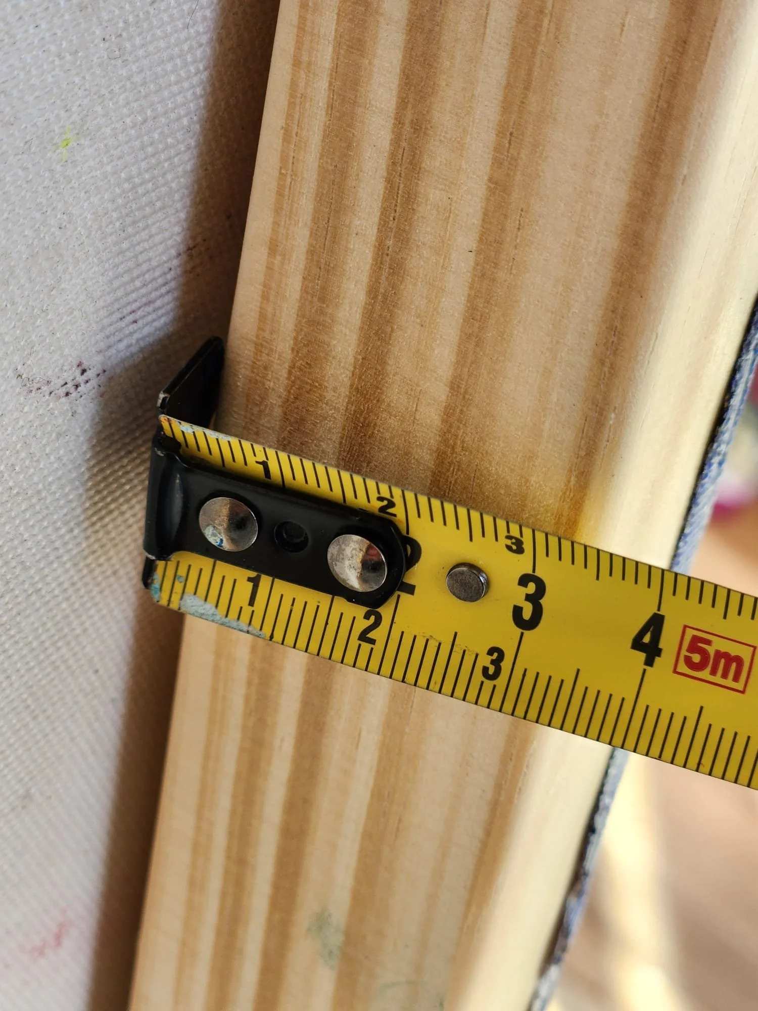 Reflections beyond the line_back 5.jpeg